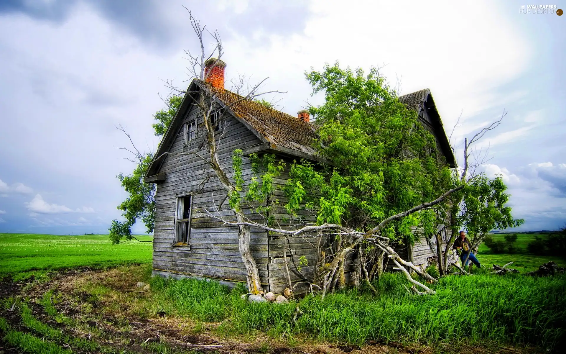 Field Grass, wooden, house