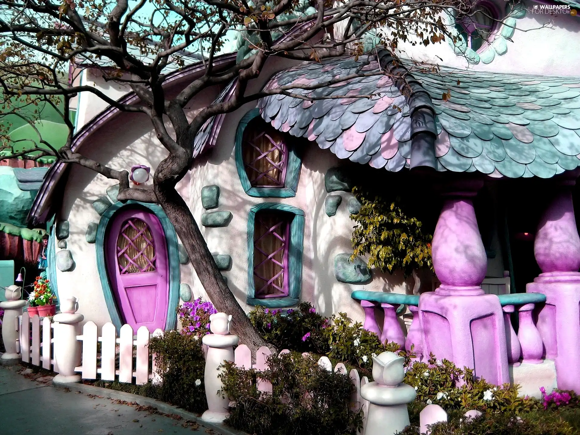 house, color, magical