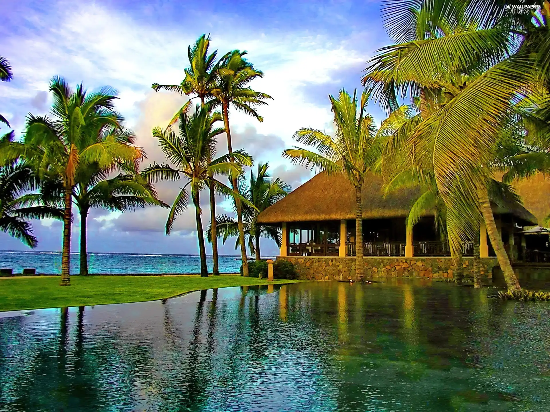 house, sea, Palms