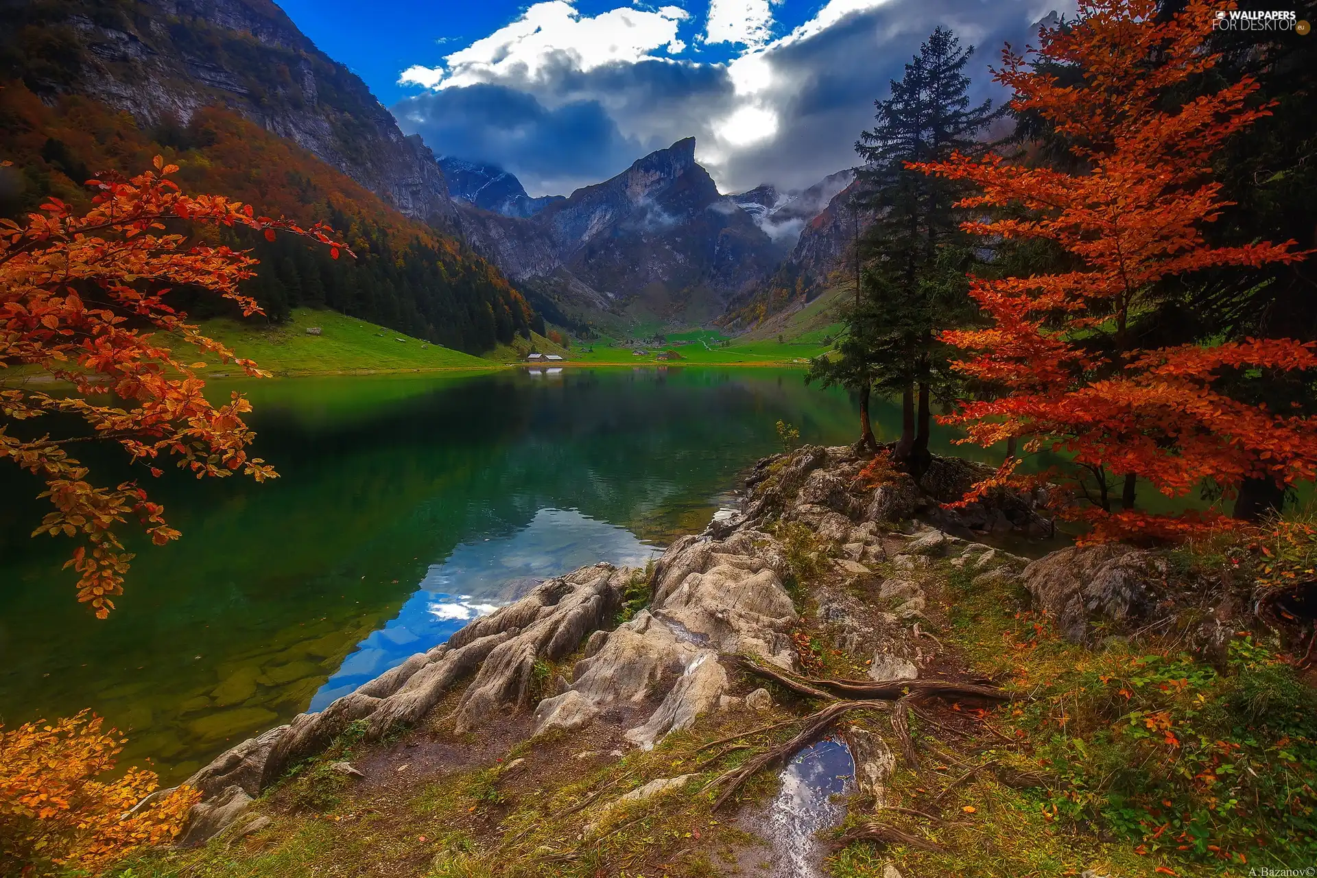 Houses, Alps Mountains, viewes, car in the meadow, lake, trees, autumn