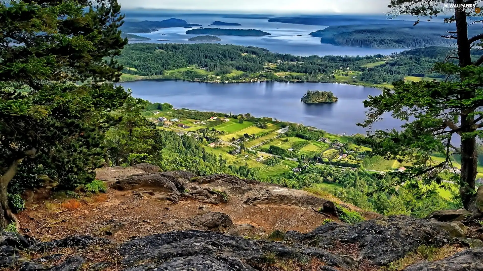 Houses, lakes, woods