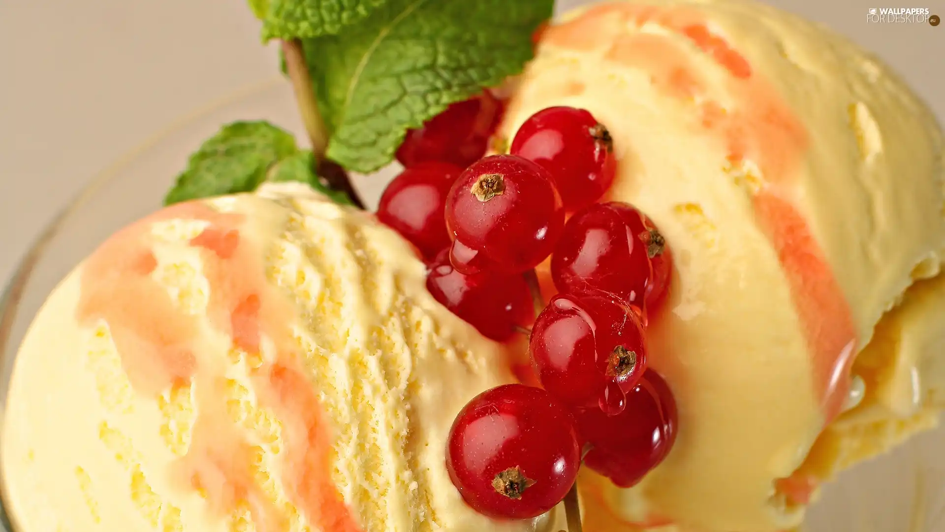 currant, Delicious, ice cream