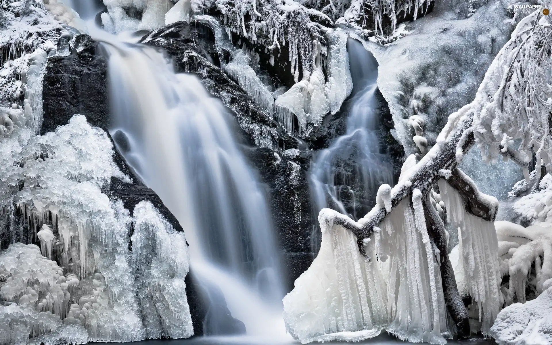 winter, icicle, ice, waterfall