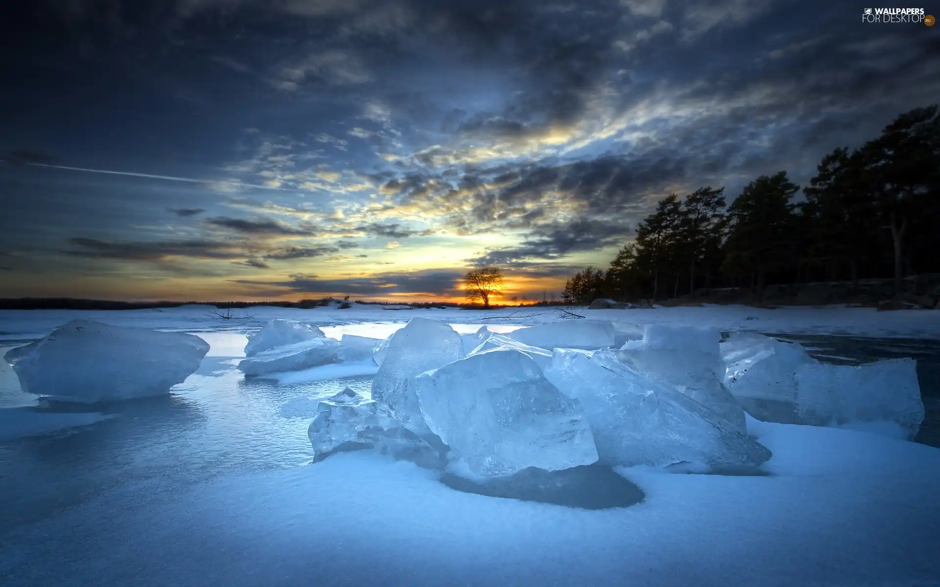 forest, west, ice, winter, lumps, sun