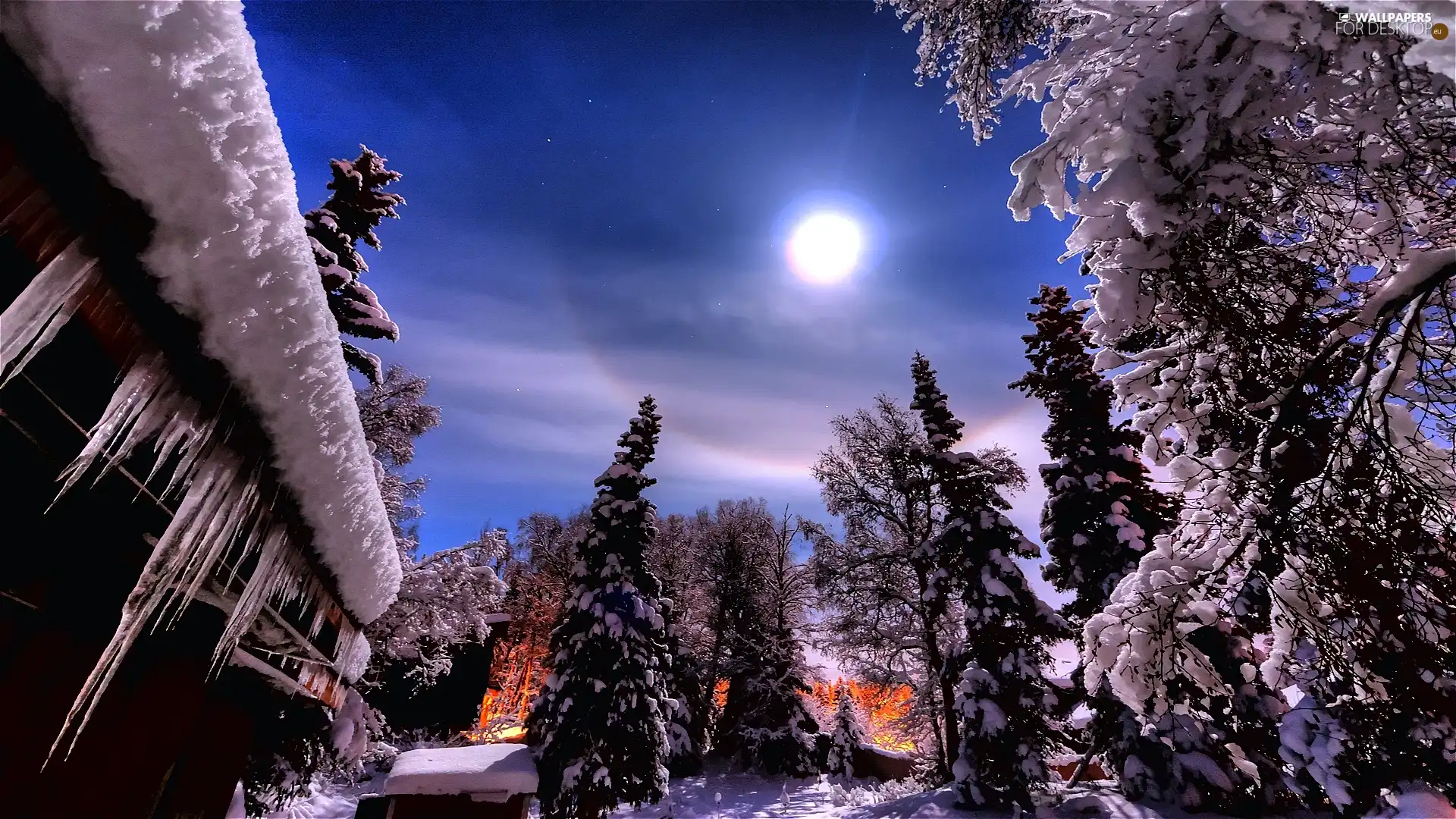 winter, viewes, icicle, trees