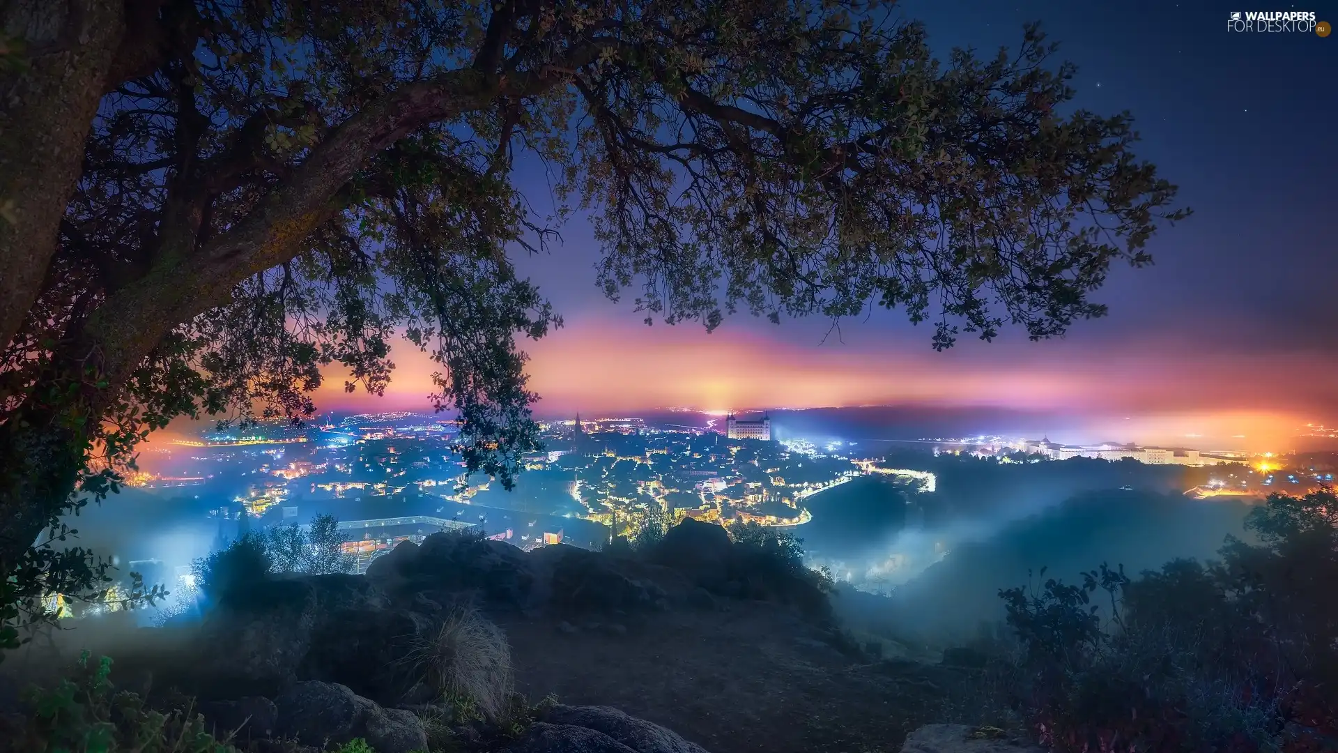 illuminated, The Hills, Town, Night, viewes, star, Fog, trees, Houses