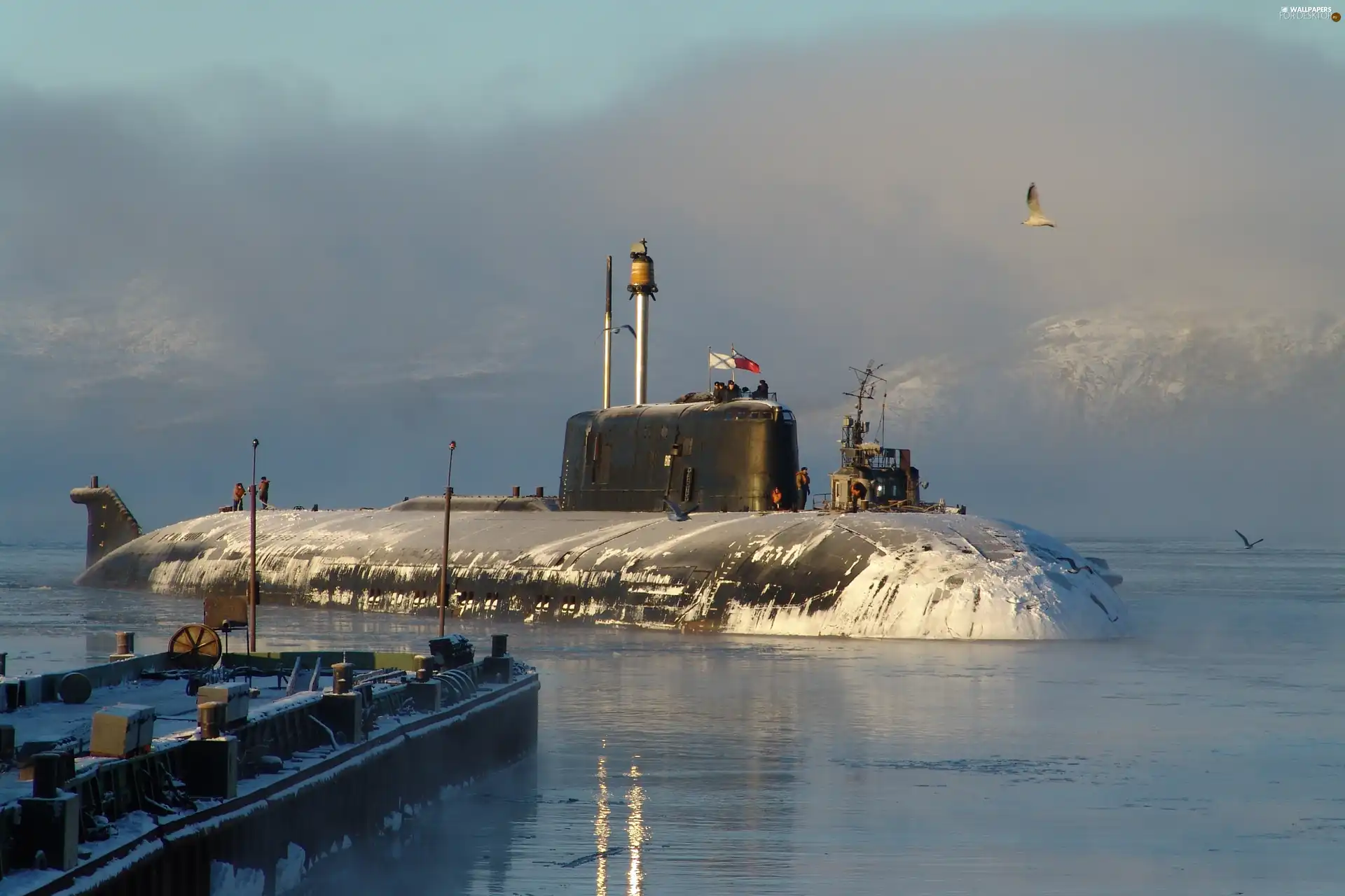 immersed, winter, ship