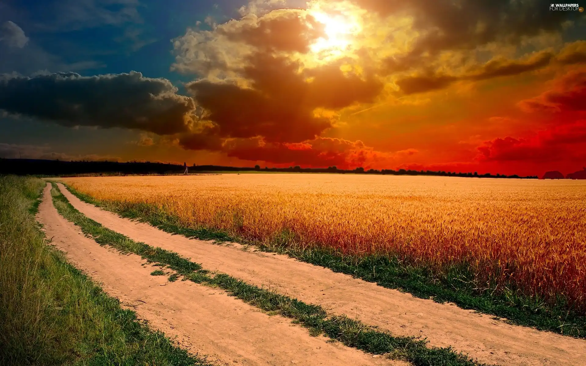 imminent, clouds, Field, cereals, Way