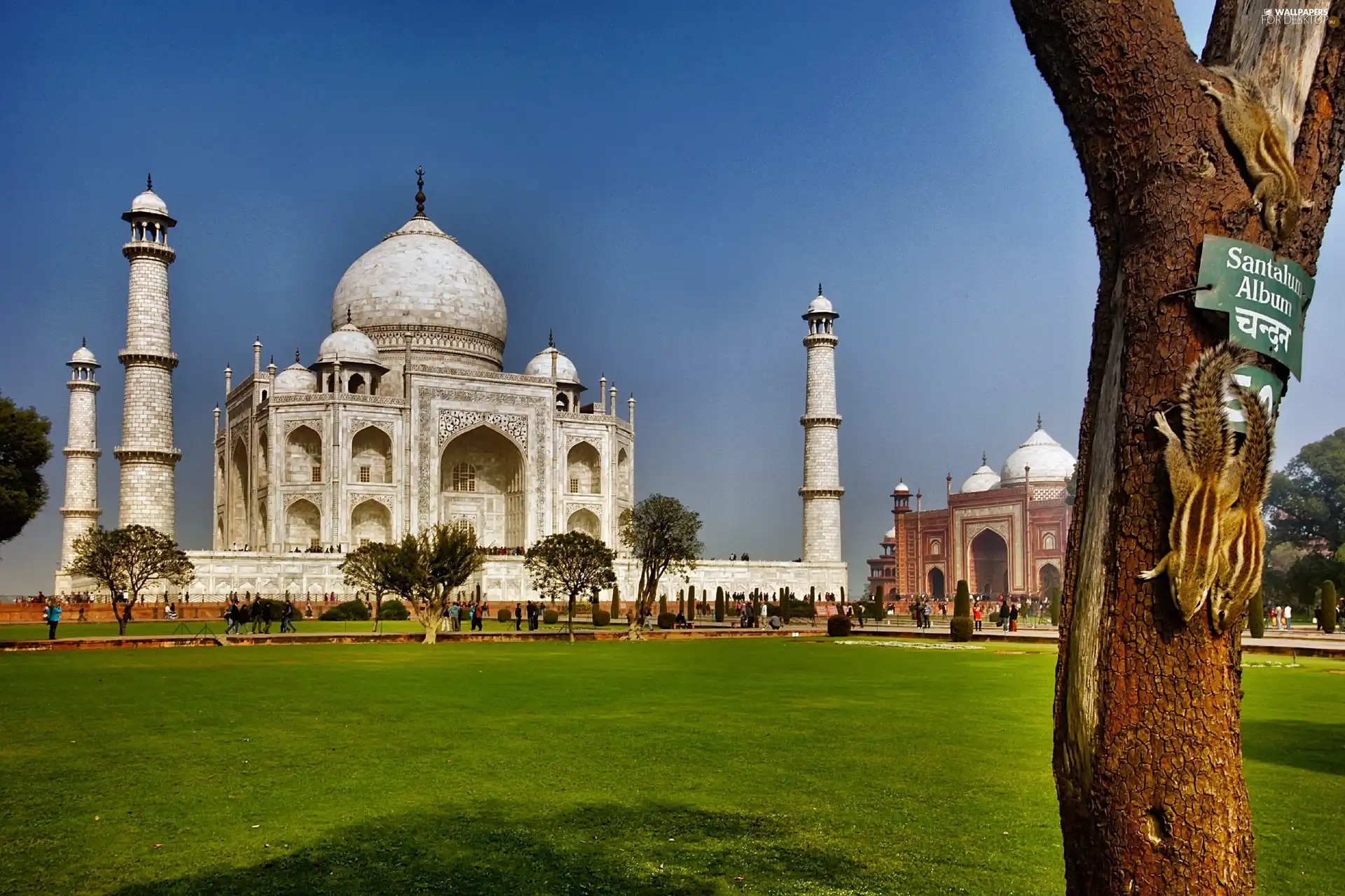 @, india