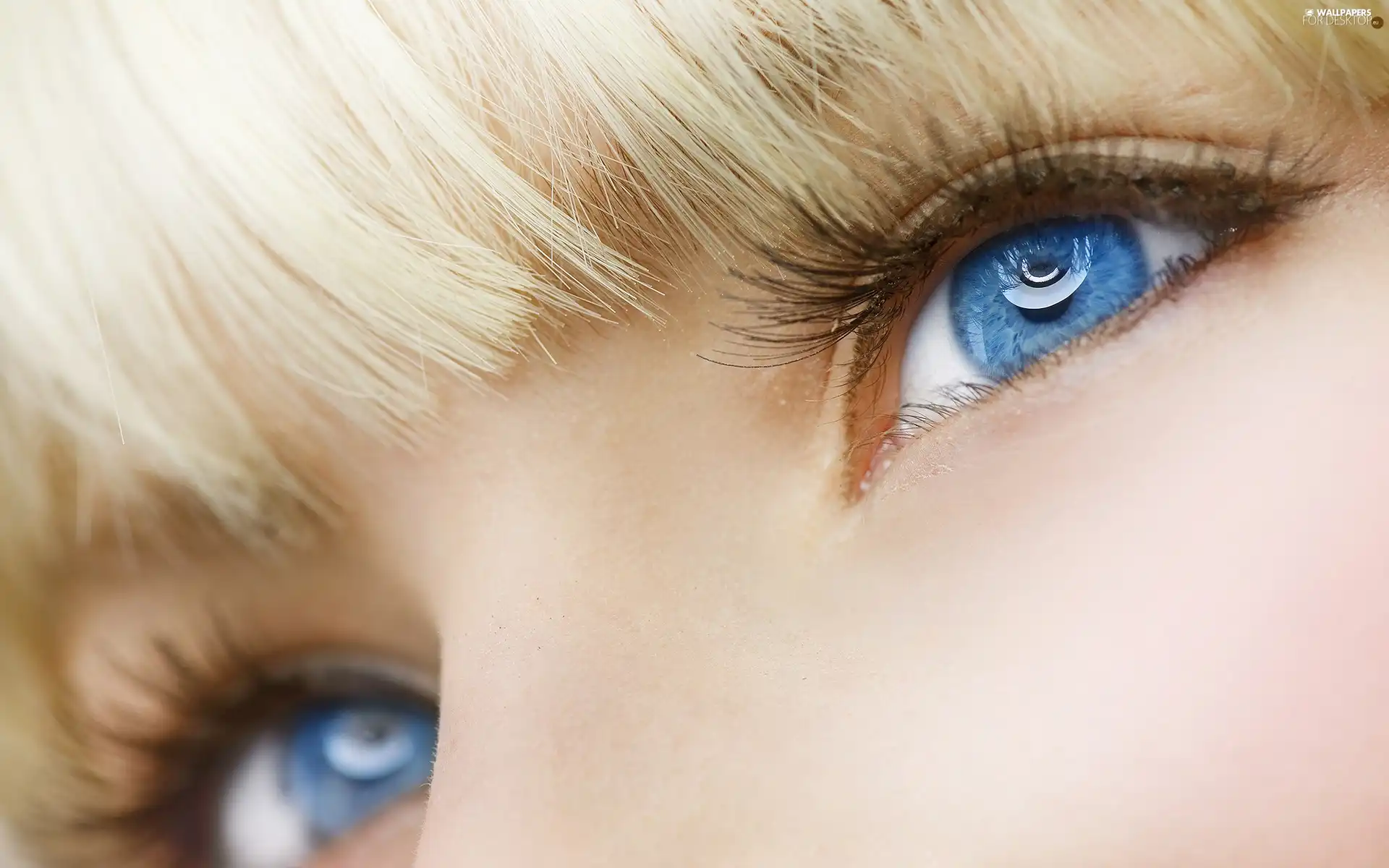 Eyes, beatyfull, Jacked, bangs, Blonde, Blue