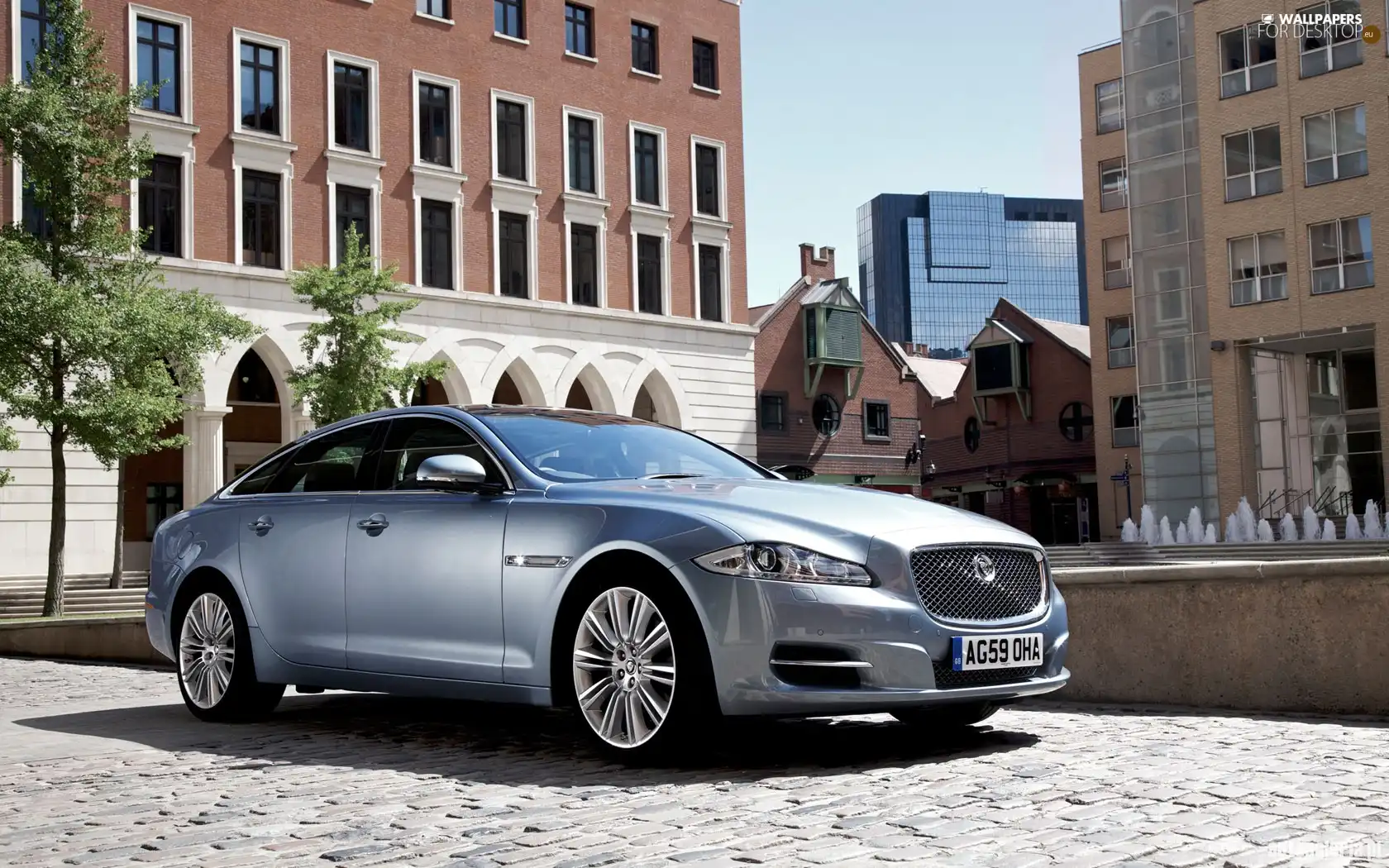 Jaguar, XJ, Line, bodies, Sports