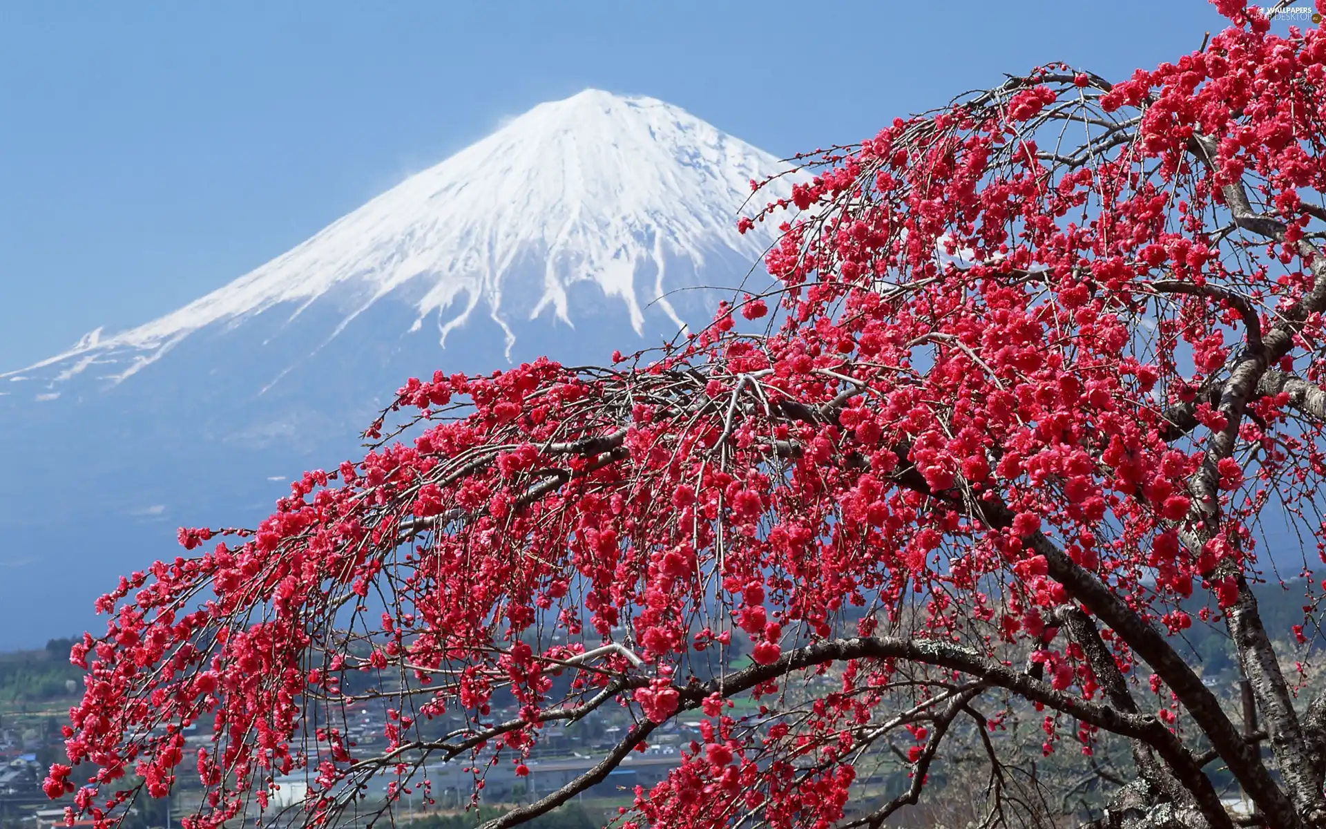 Fuji, Japan