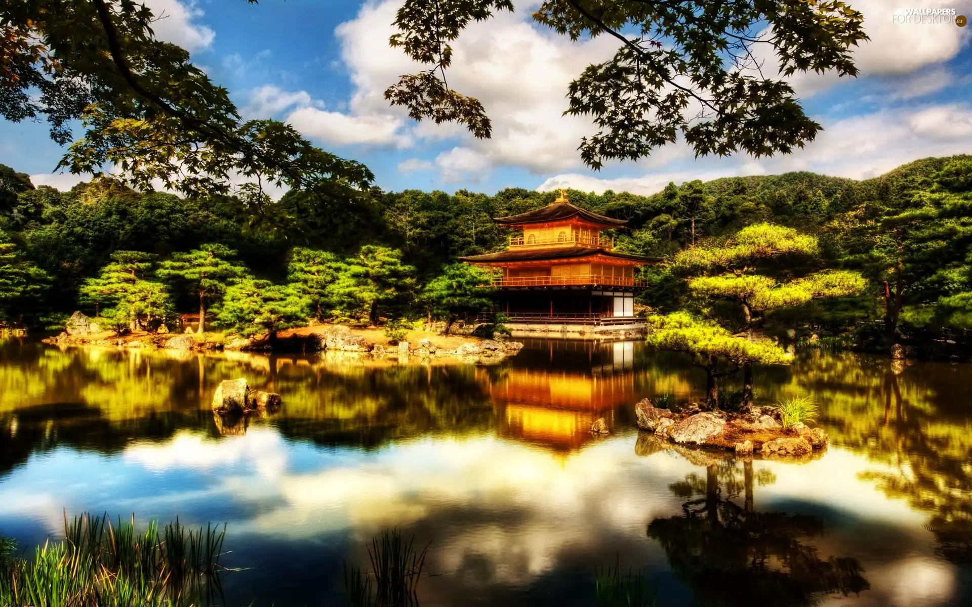 water, forest, Japan, house