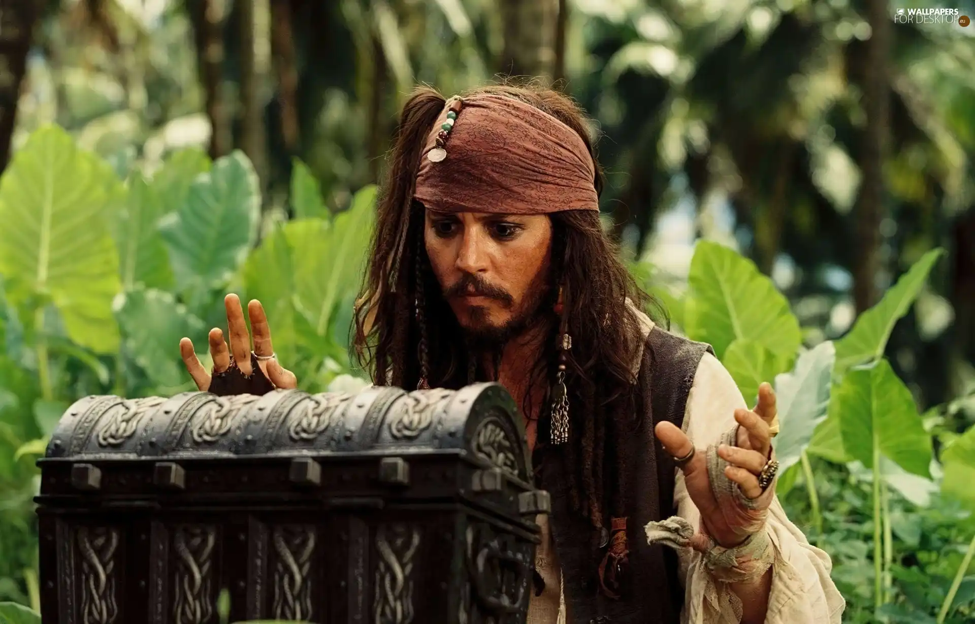 Johnny, Depp, DBZ, Caribbean, pirate