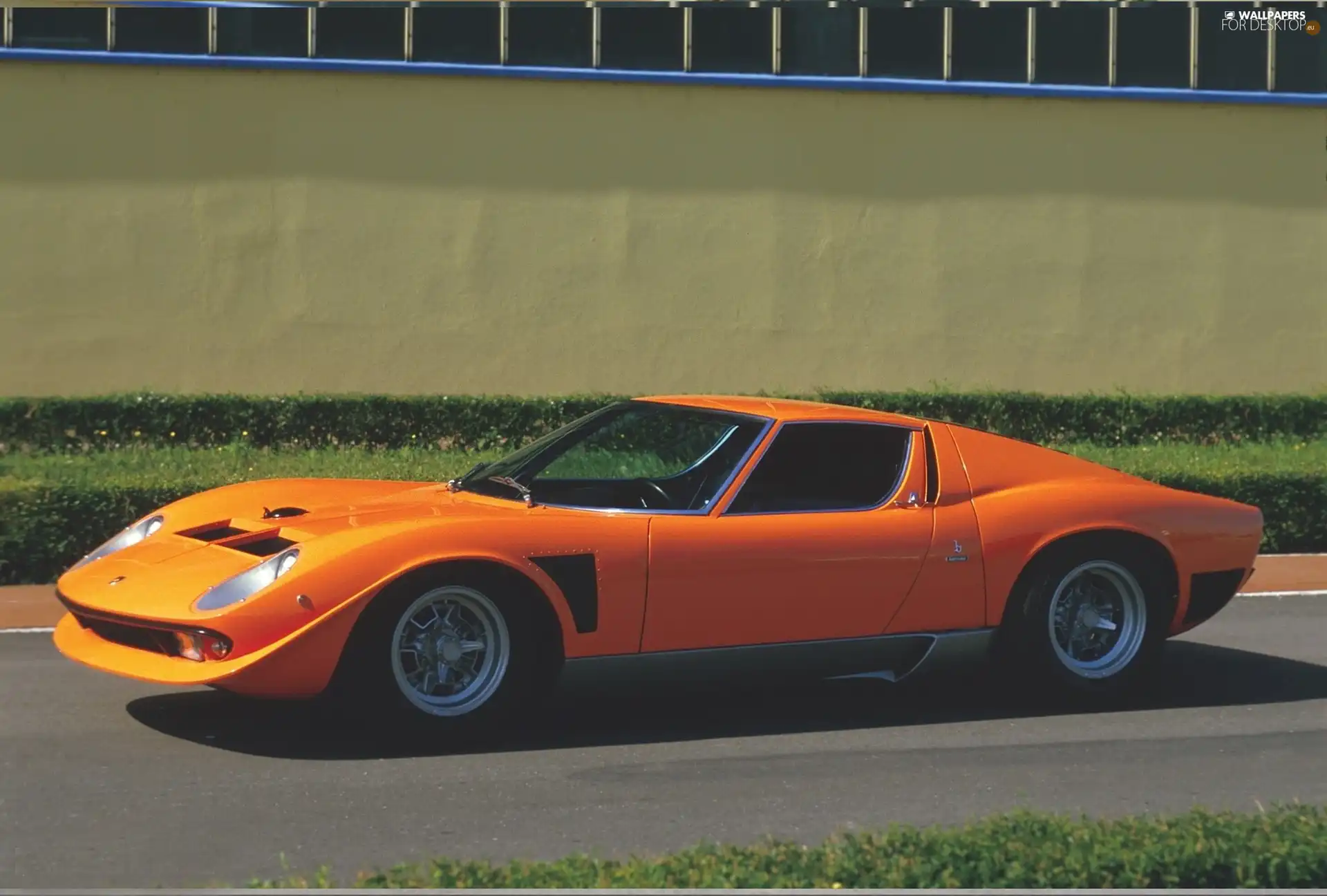 Jota, Lamborghini, Miura