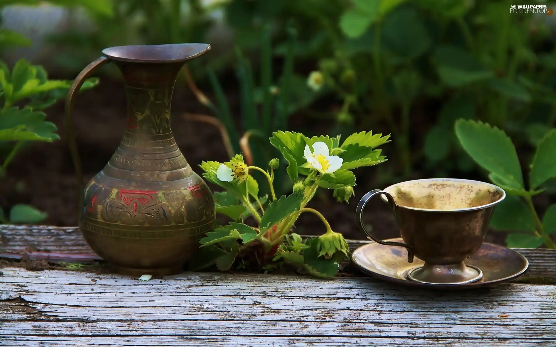 jug, cup, Strawberries, Stannic, Flowers