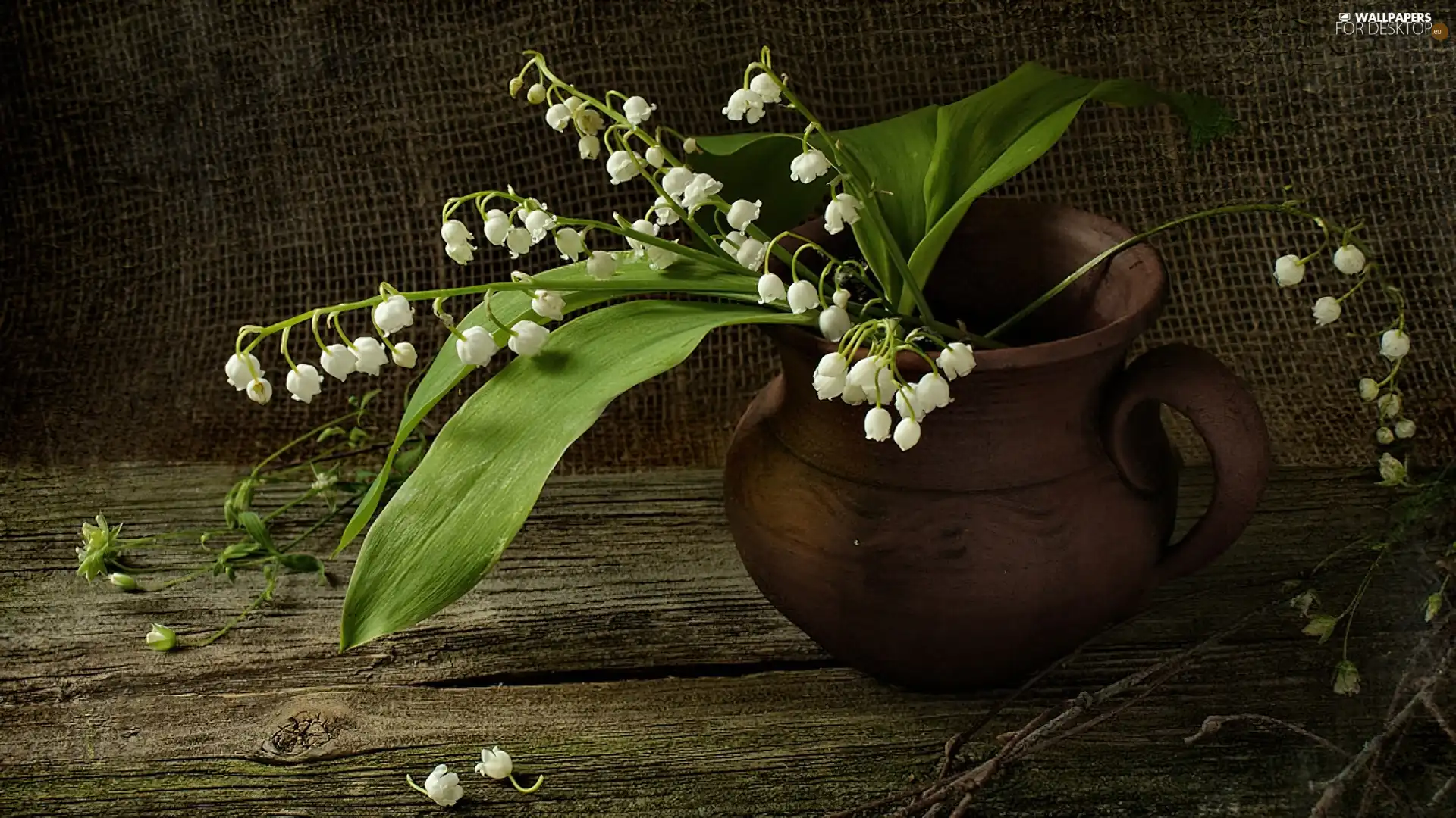 jug, lilies, Table, earthen, wooden