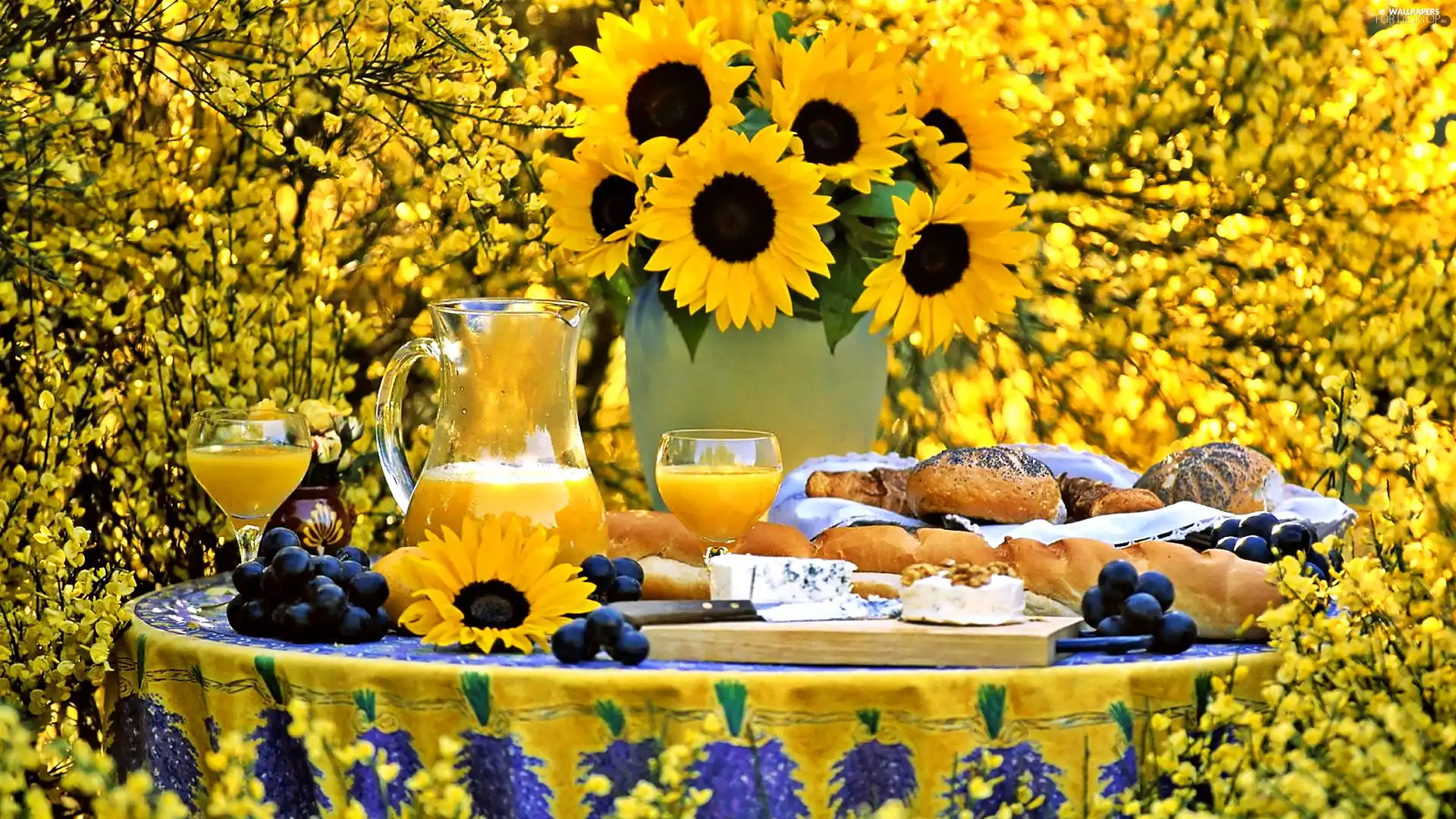 juice, Nice sunflowers, Laid, Table, cheese, Buns