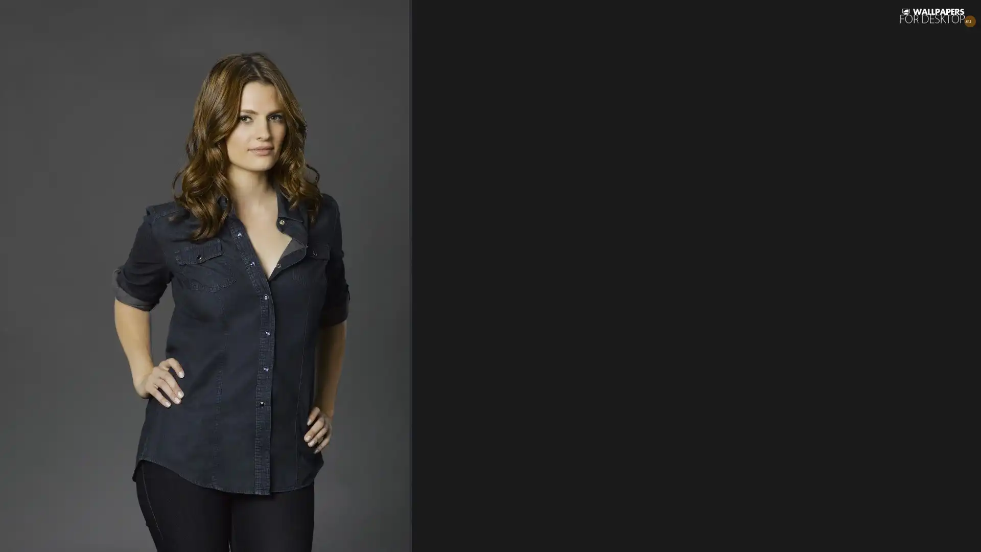 Handsome, Stana Katic