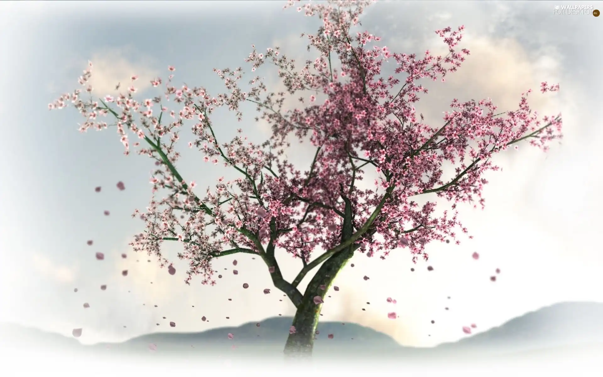 kirsch, trees, Flowers