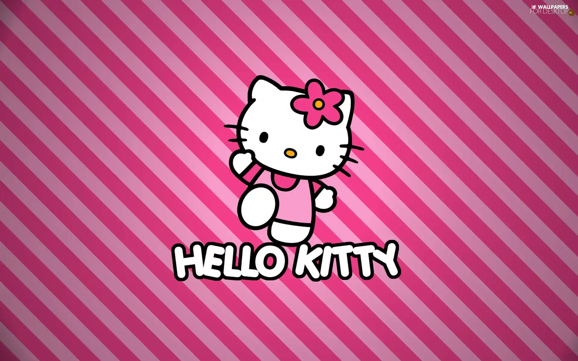 Kitty, Pink, hello