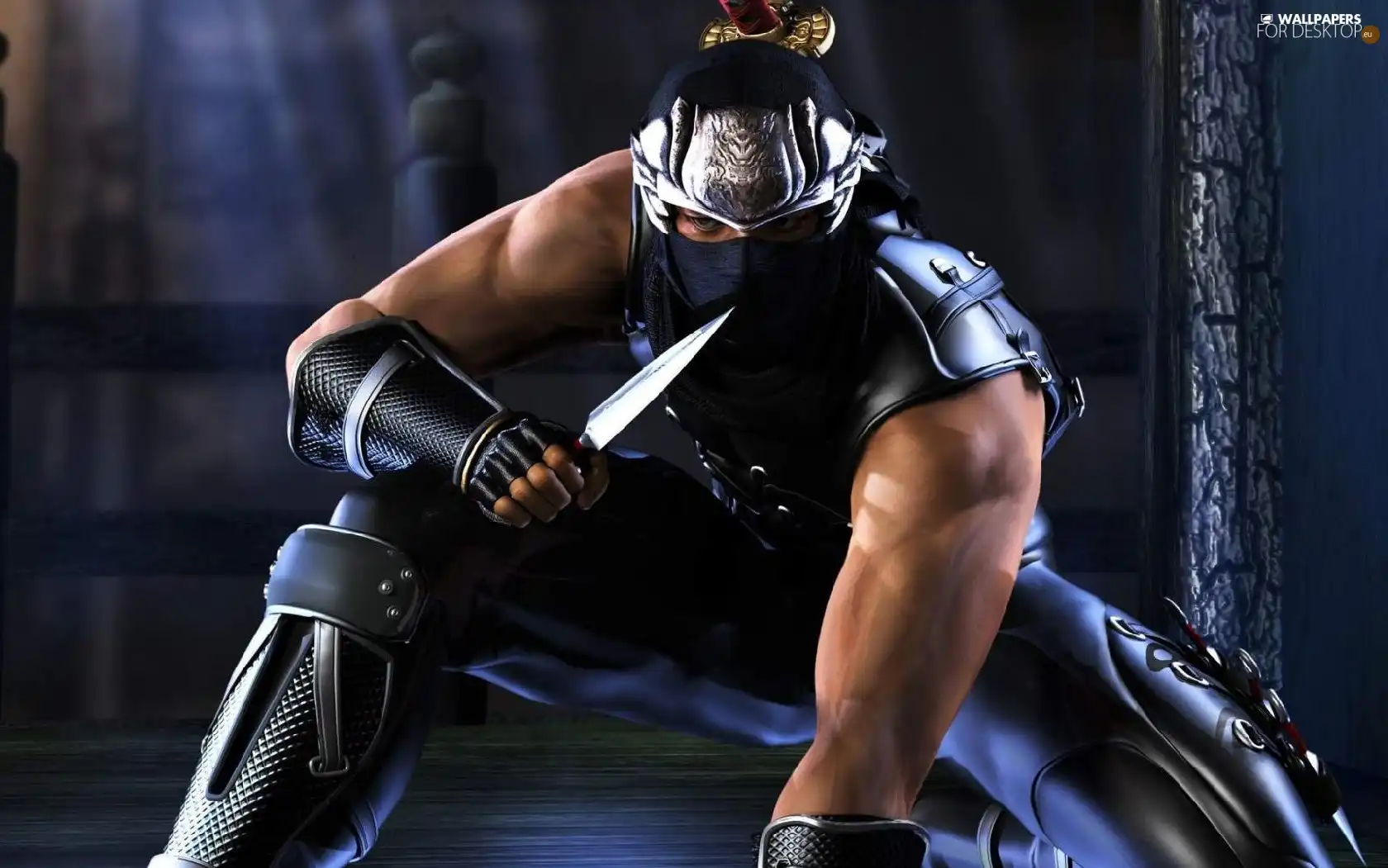 Armor, Mask, Ninja Gaiden, knife, Ryu Hayabusa