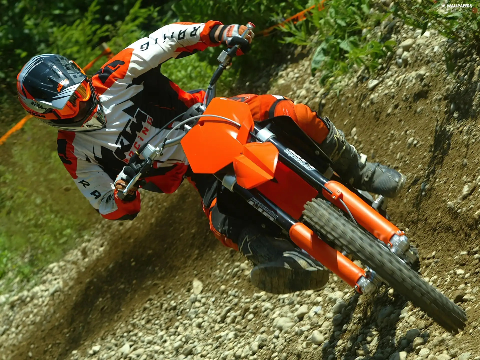 Orange, KTM 125 SX