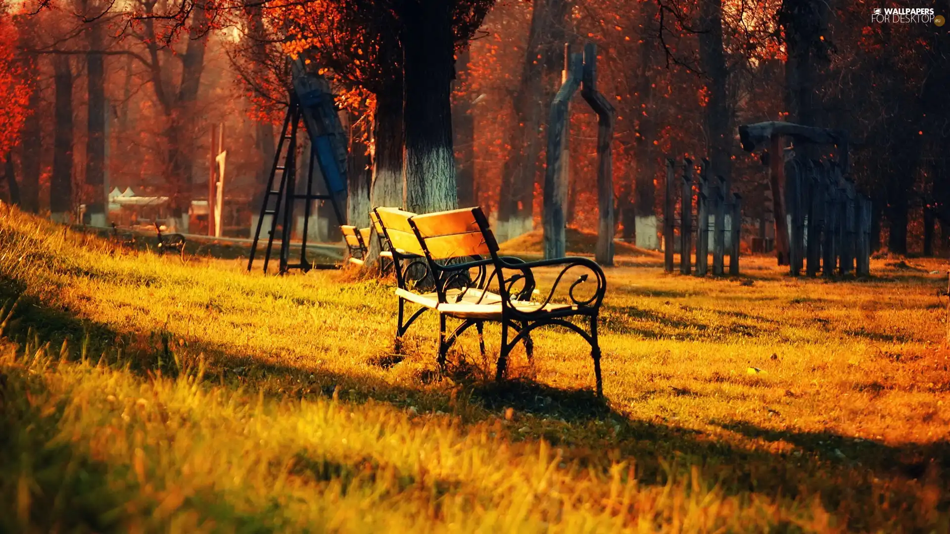 bench, viewes, ladder, trees
