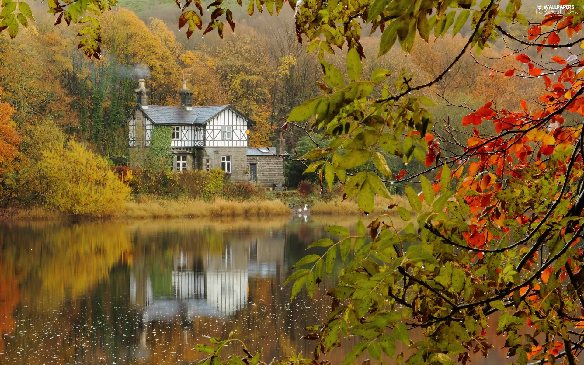 autumn, house, lake, woods