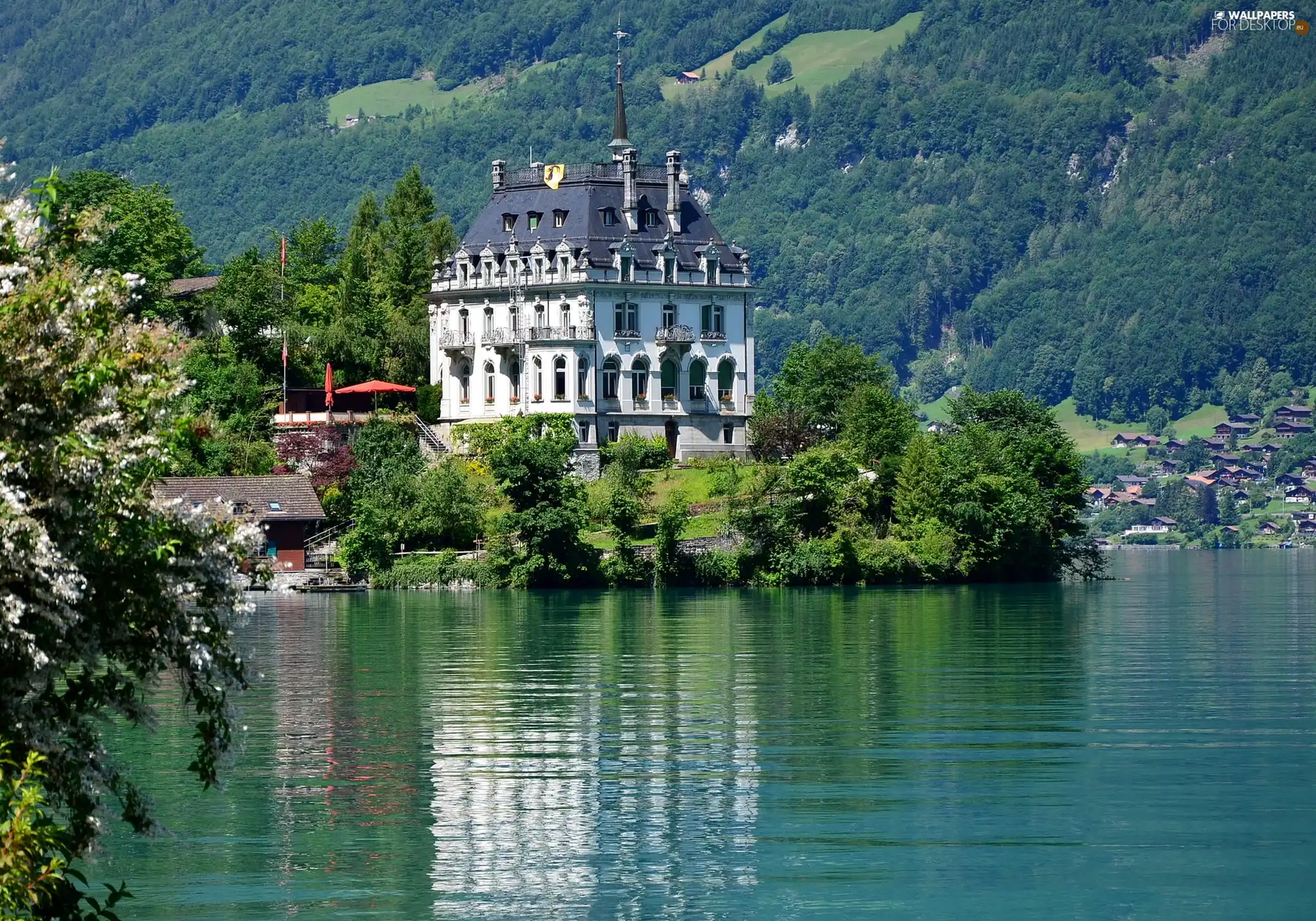 Iseltwald, Switzerland, lake, Brienz, by, Castle