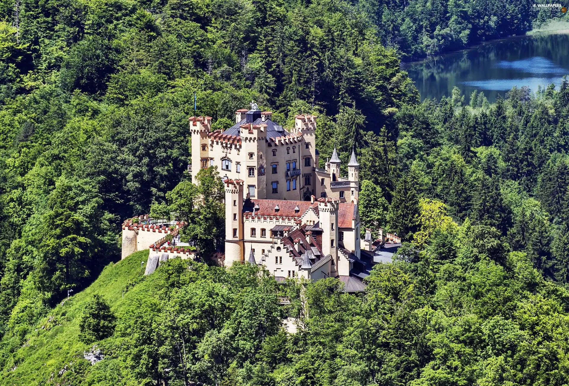 Hohenschwangau Castle, forest, lake, Germany