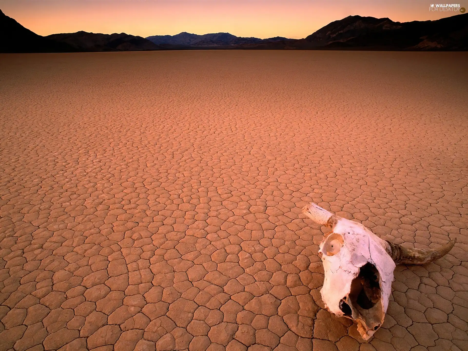 died, Dried, lake, Valley