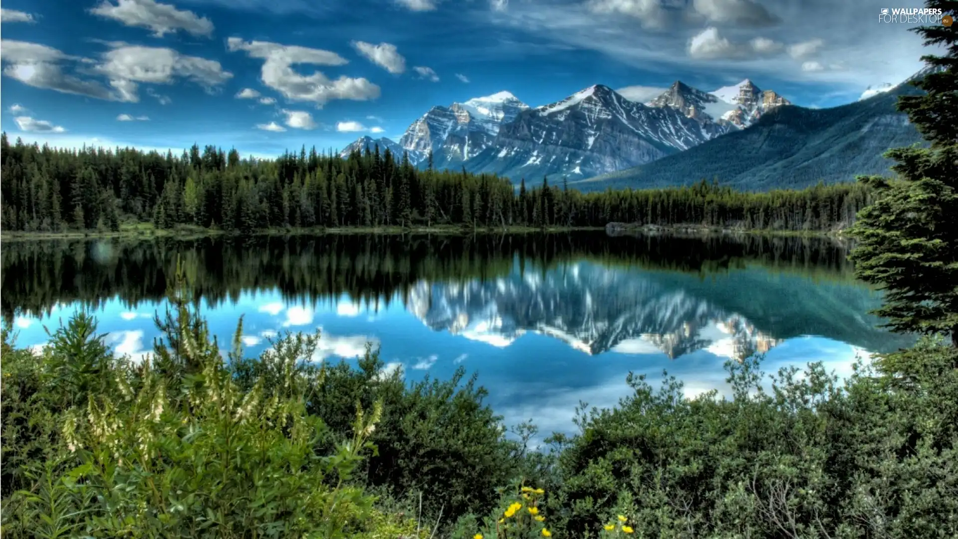 lake, Mountains, forest