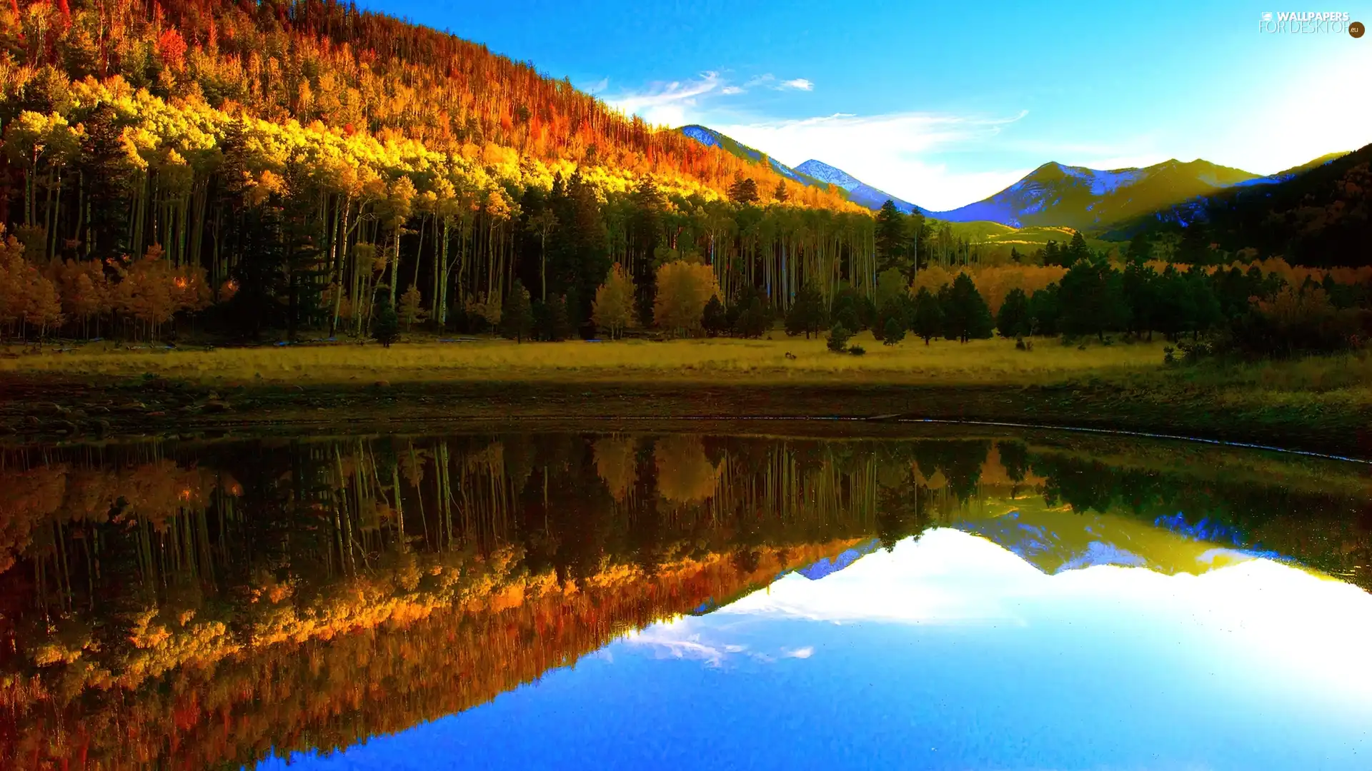 lake, Sky, forest