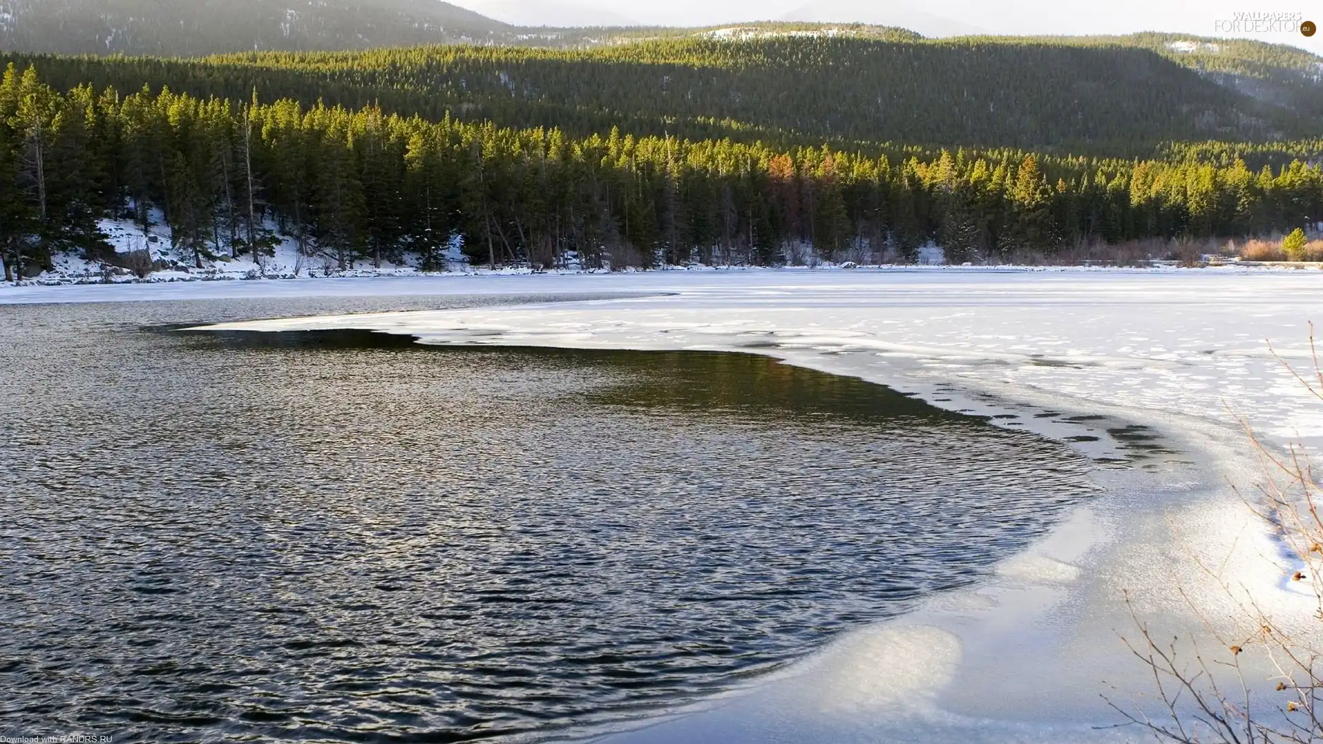 forest, snow, lake, Icecream