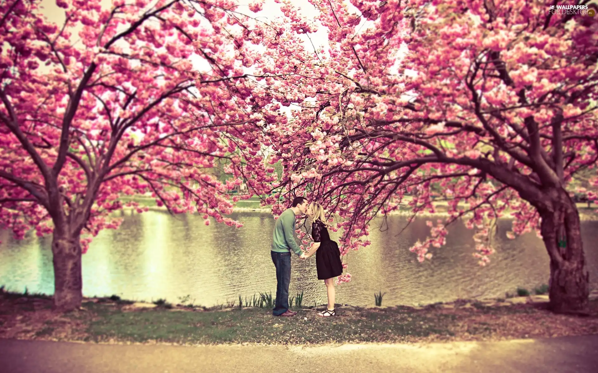 lovers, viewes, lake, trees