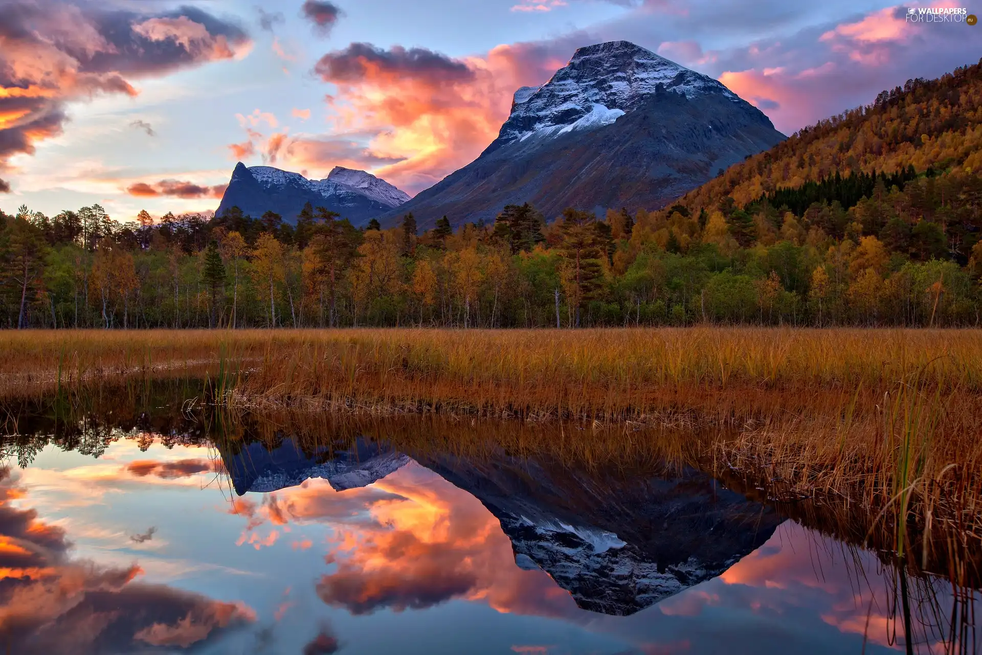 Mountains, Meadow, lake, forest