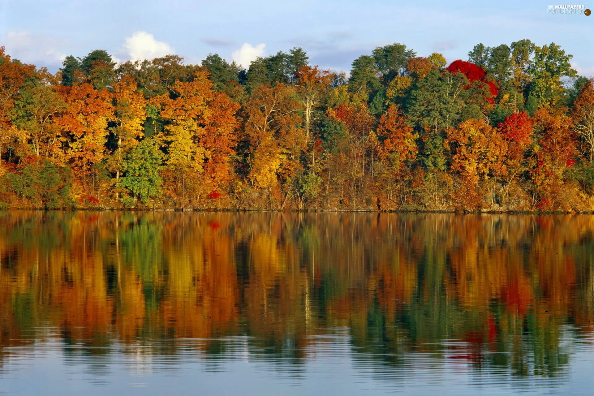 lake, reflection, Colours, autumn, color