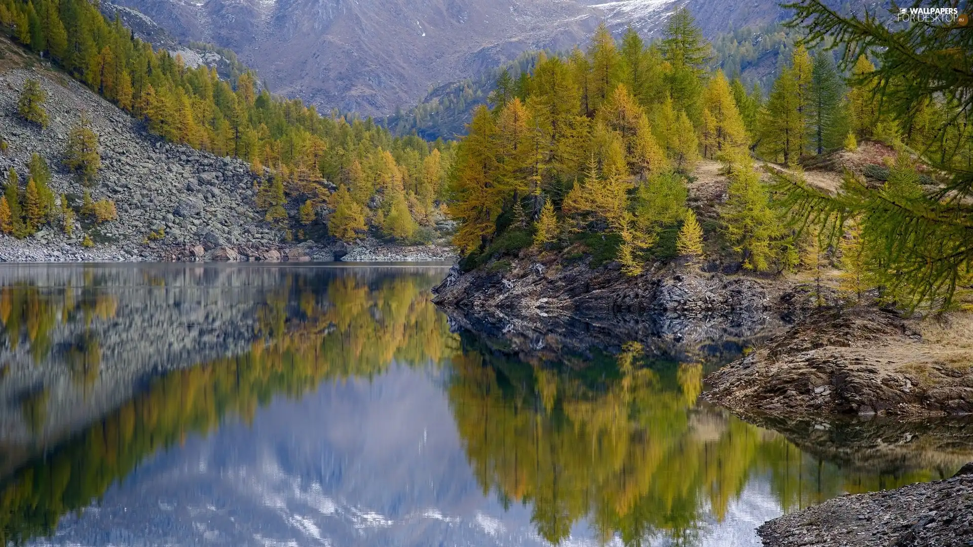 trees, Mountains, reflection, lake, autumn, viewes, rocks