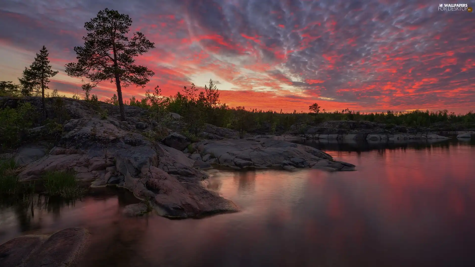 Lake Ladoga, rocks, Russia, trees, Karelia, clouds, Great Sunsets, viewes