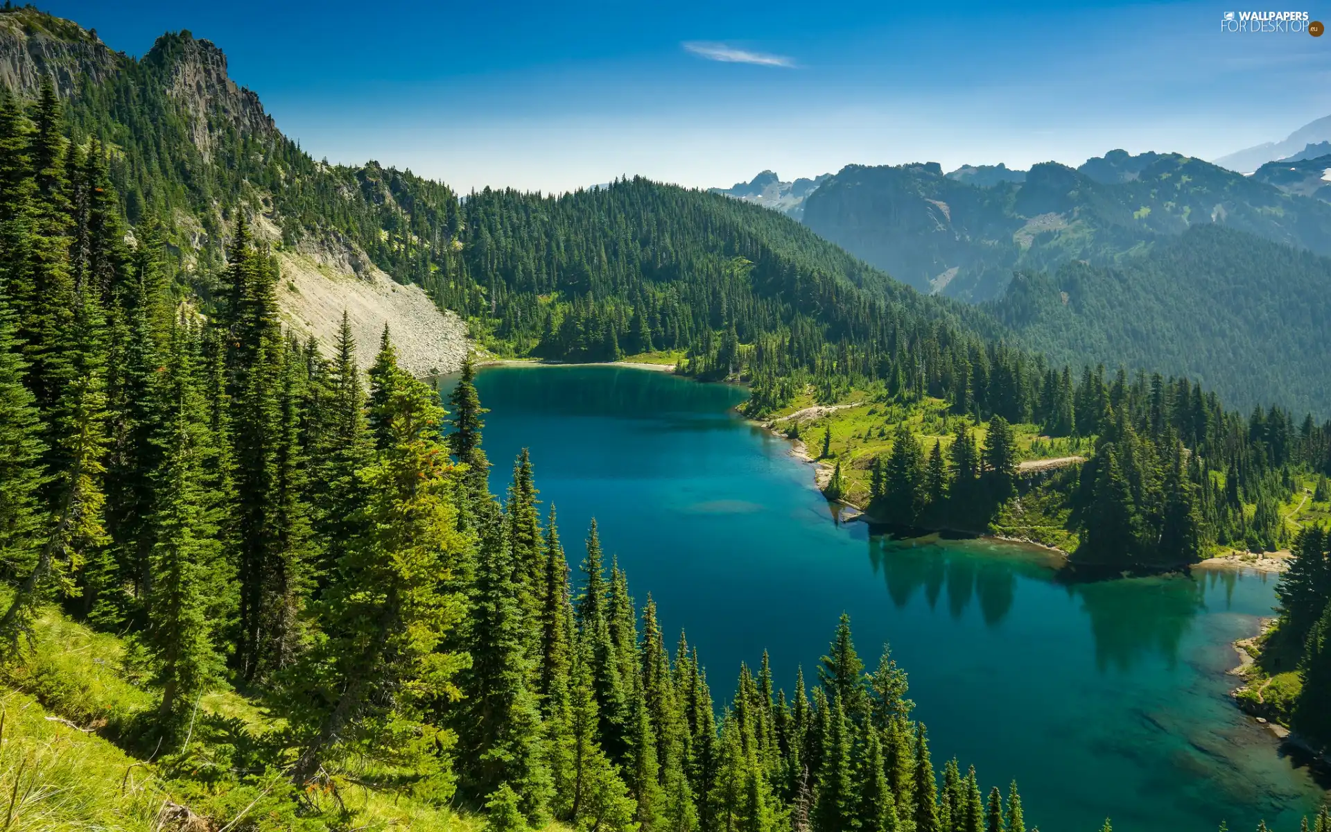 Spruces, lake, trees, viewes, Mountains