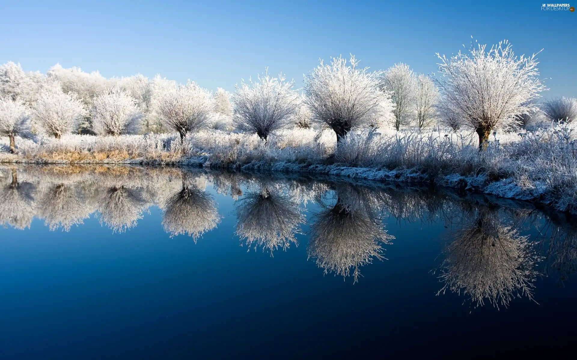 lake, winter, trees, viewes, Sky