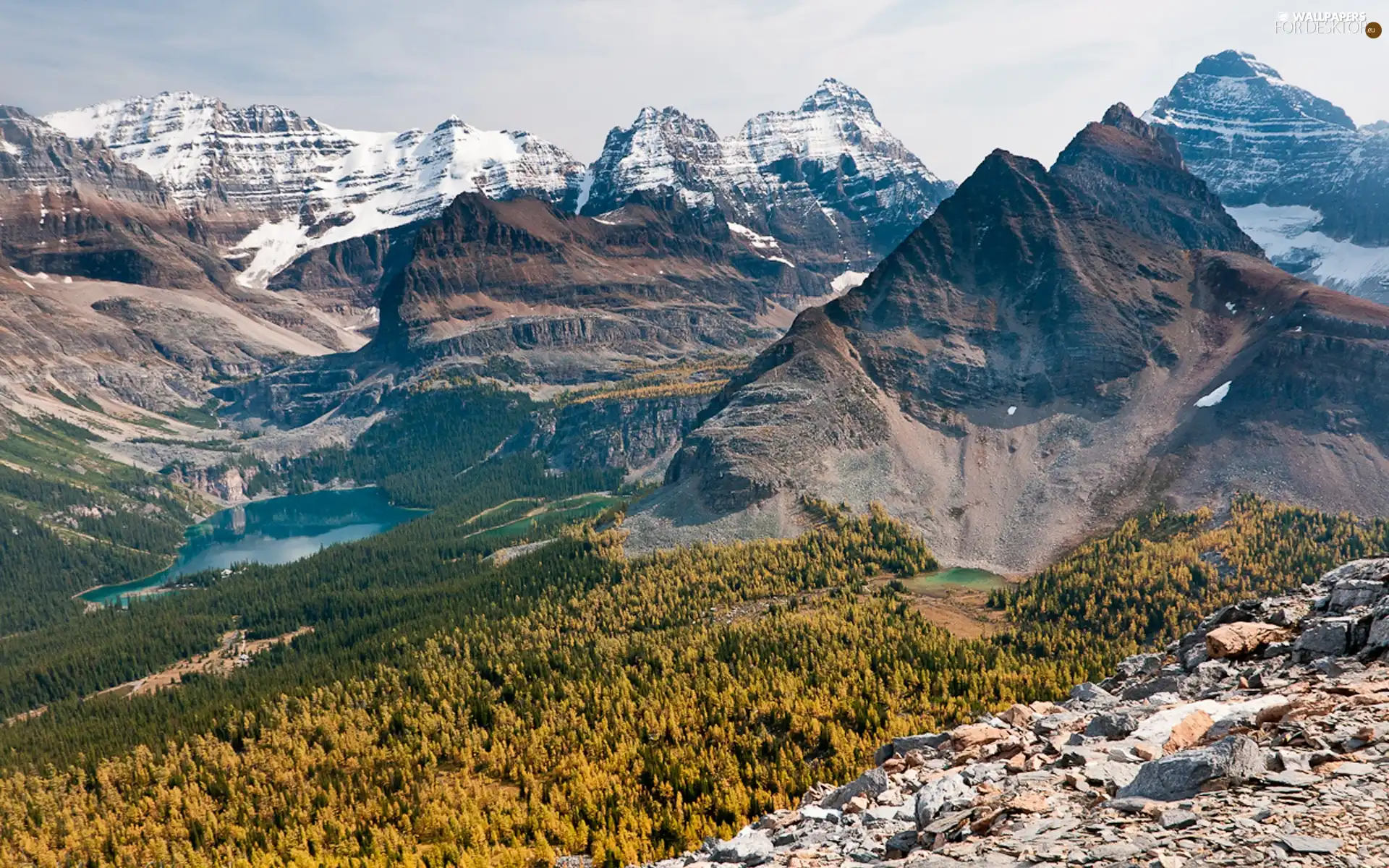 lake, Mountains, woods