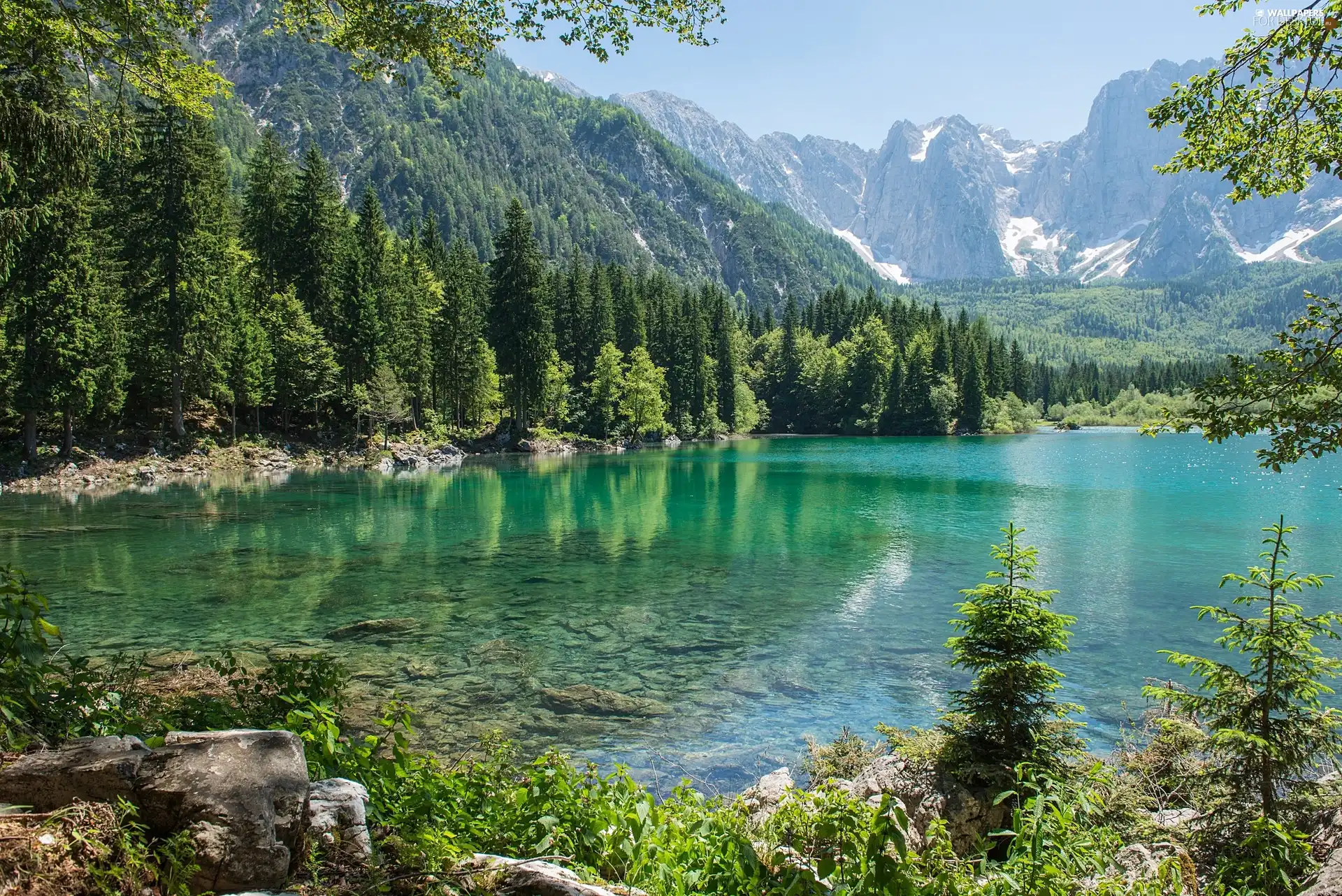 lake, Mountains, woods