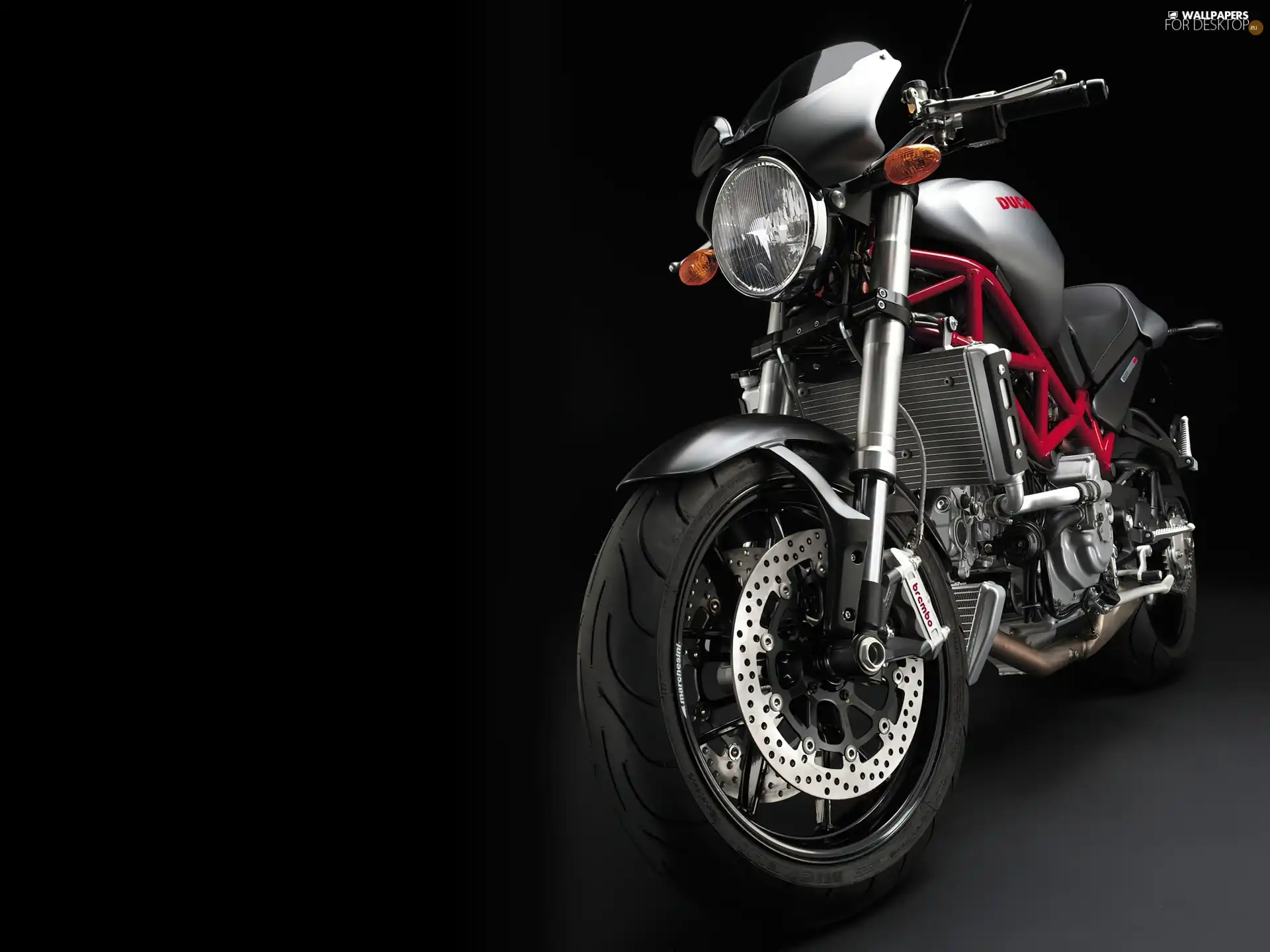 radiator, Ducati Monster S4R, Lamp