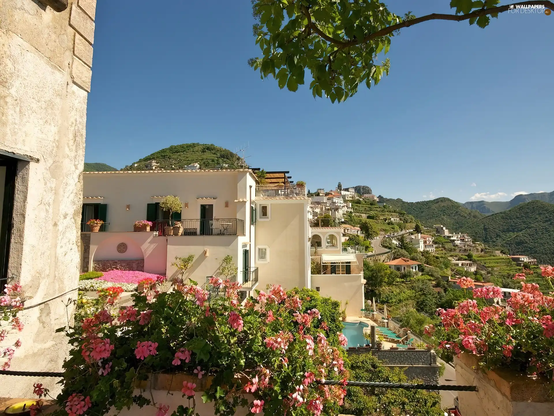 landscape, Houses, Flowers