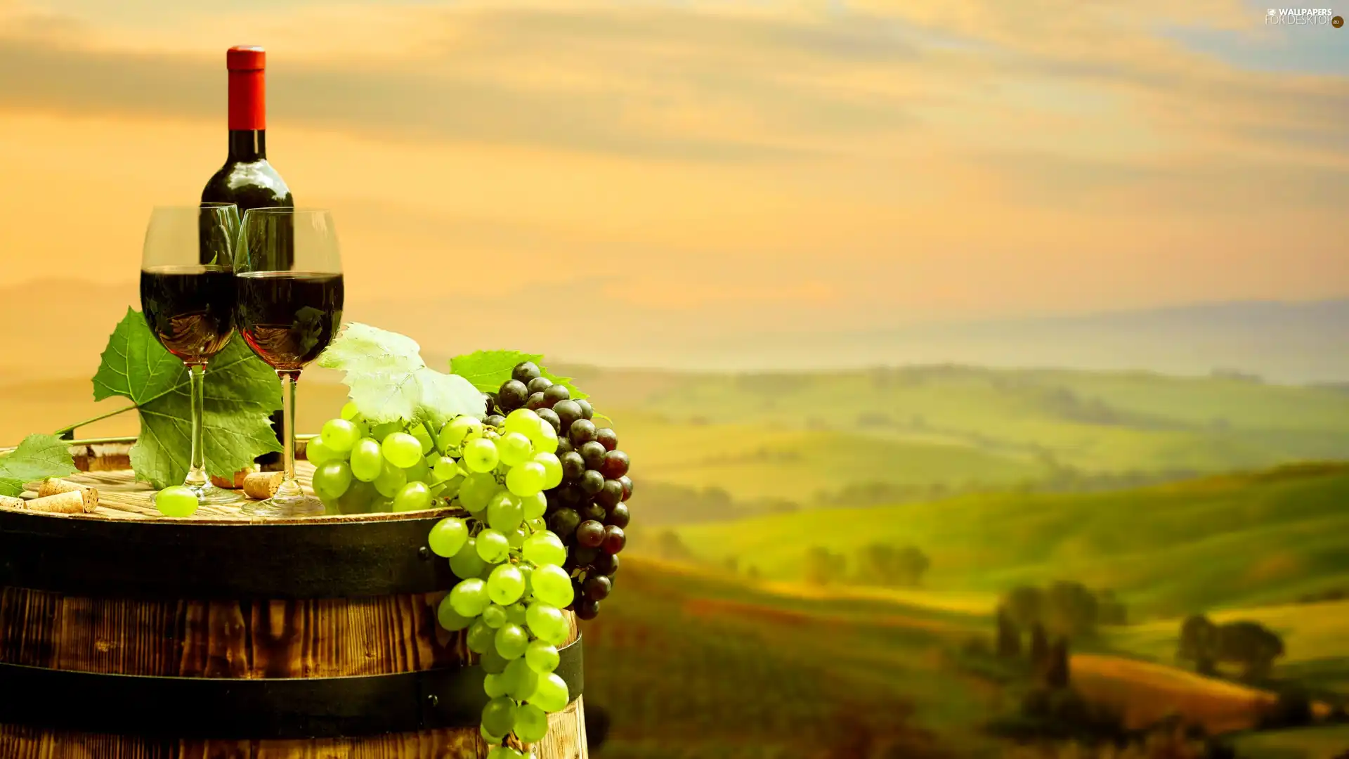 Wine, Bottle, barrel, landscape, Grapes, glasses