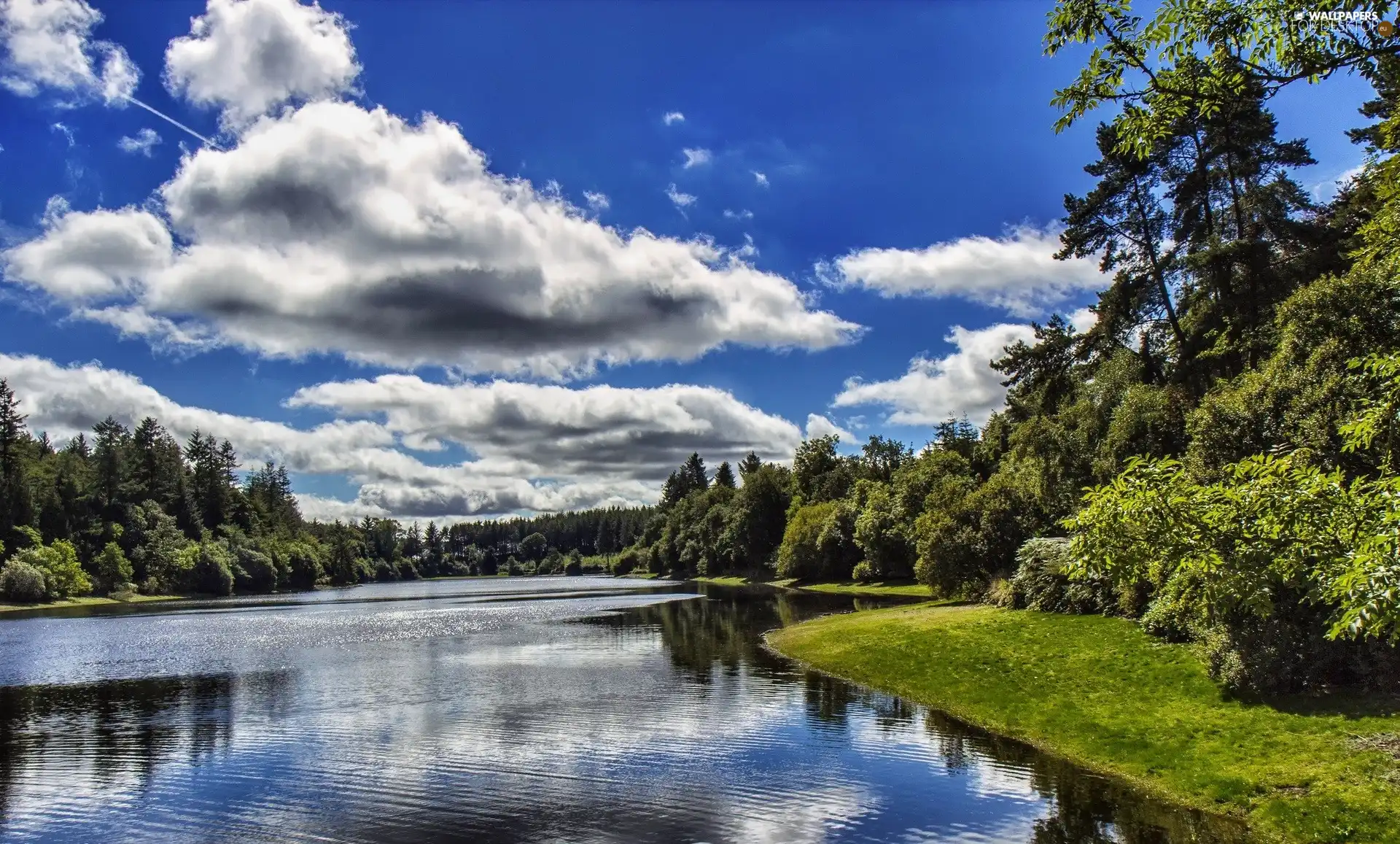 River, clouds, landscape, forest