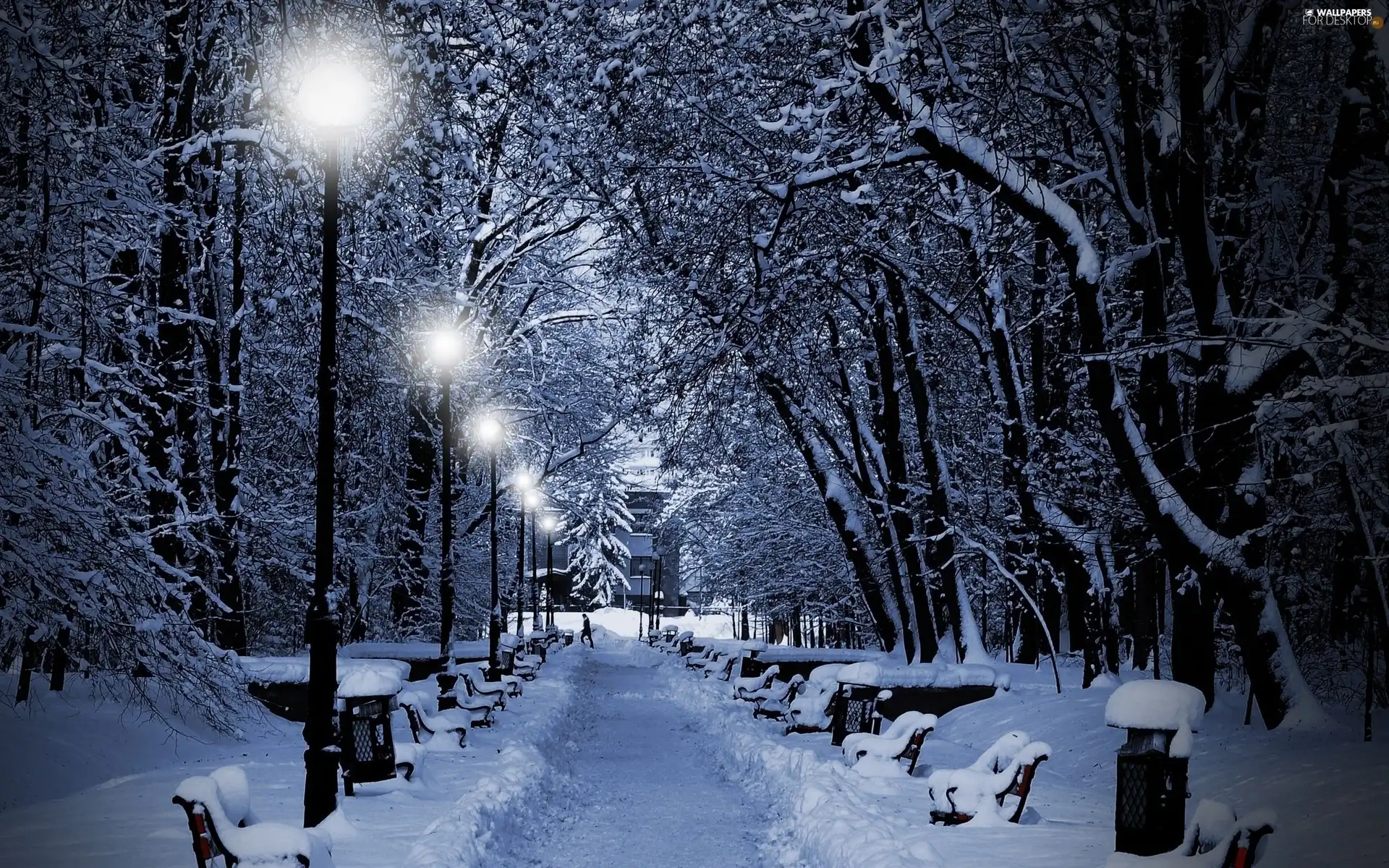 viewes, Park, lanterns, winter, bench, trees