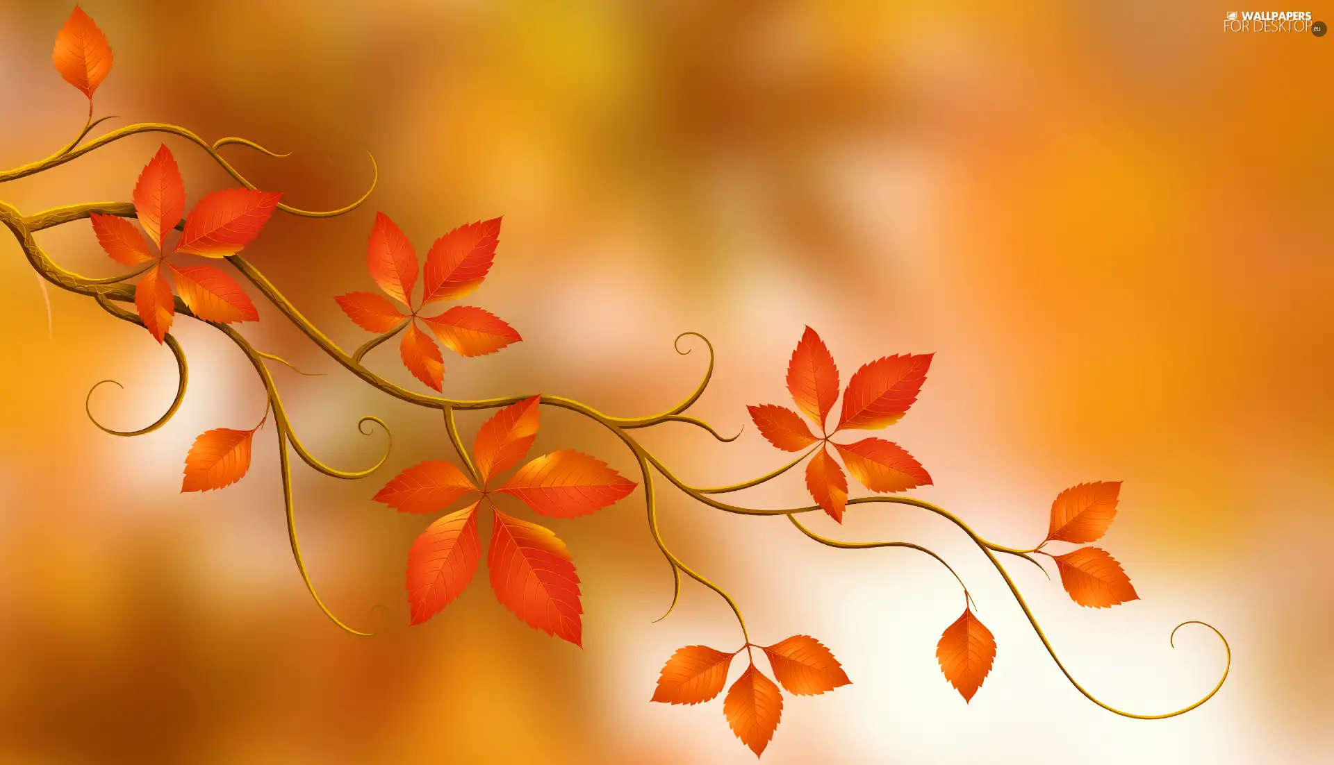 blurry background, 2D Graphics, Leaf